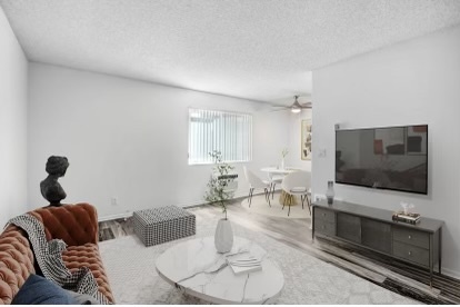 Amazing Wychwood area Apartment for Rent - photo 2