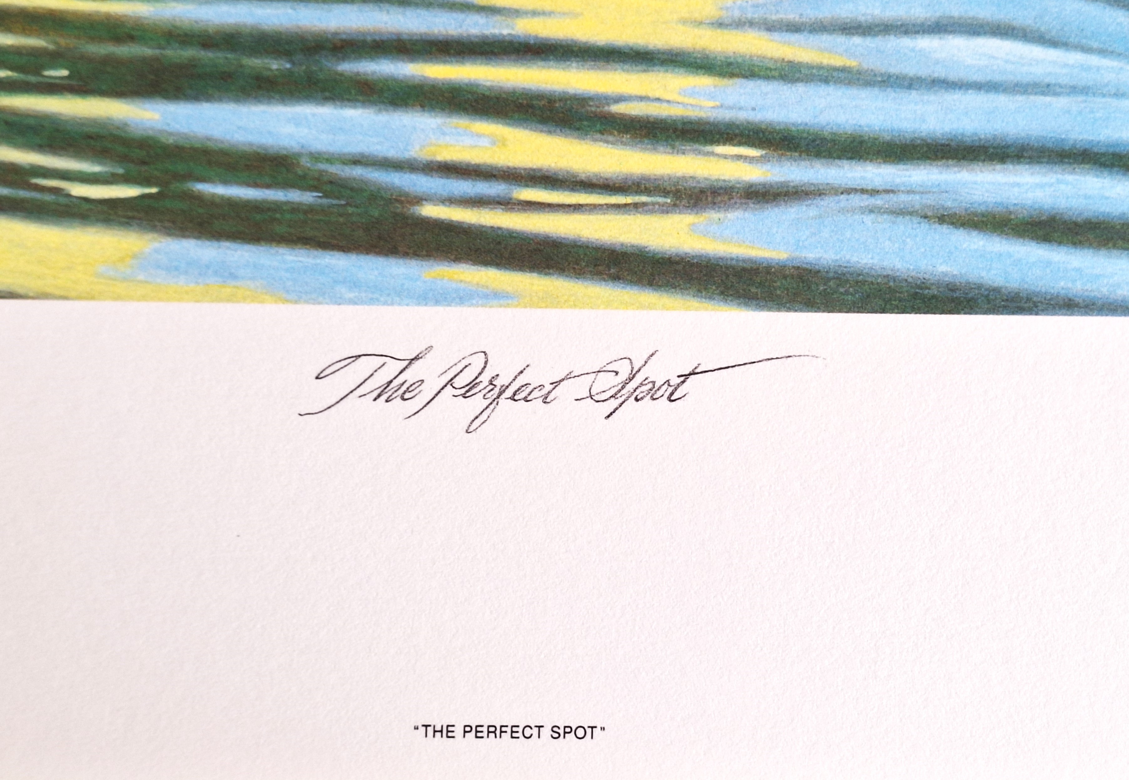 James Lumbers "The Perfect Spot" Limited Edition Print - photo 5