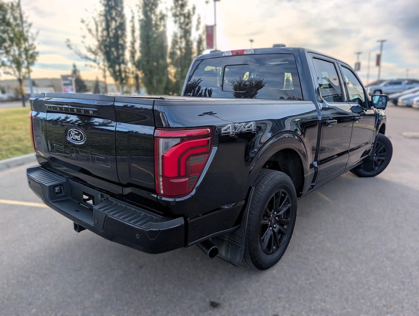 2025 Ford F-150 PowerBoost - photo 5