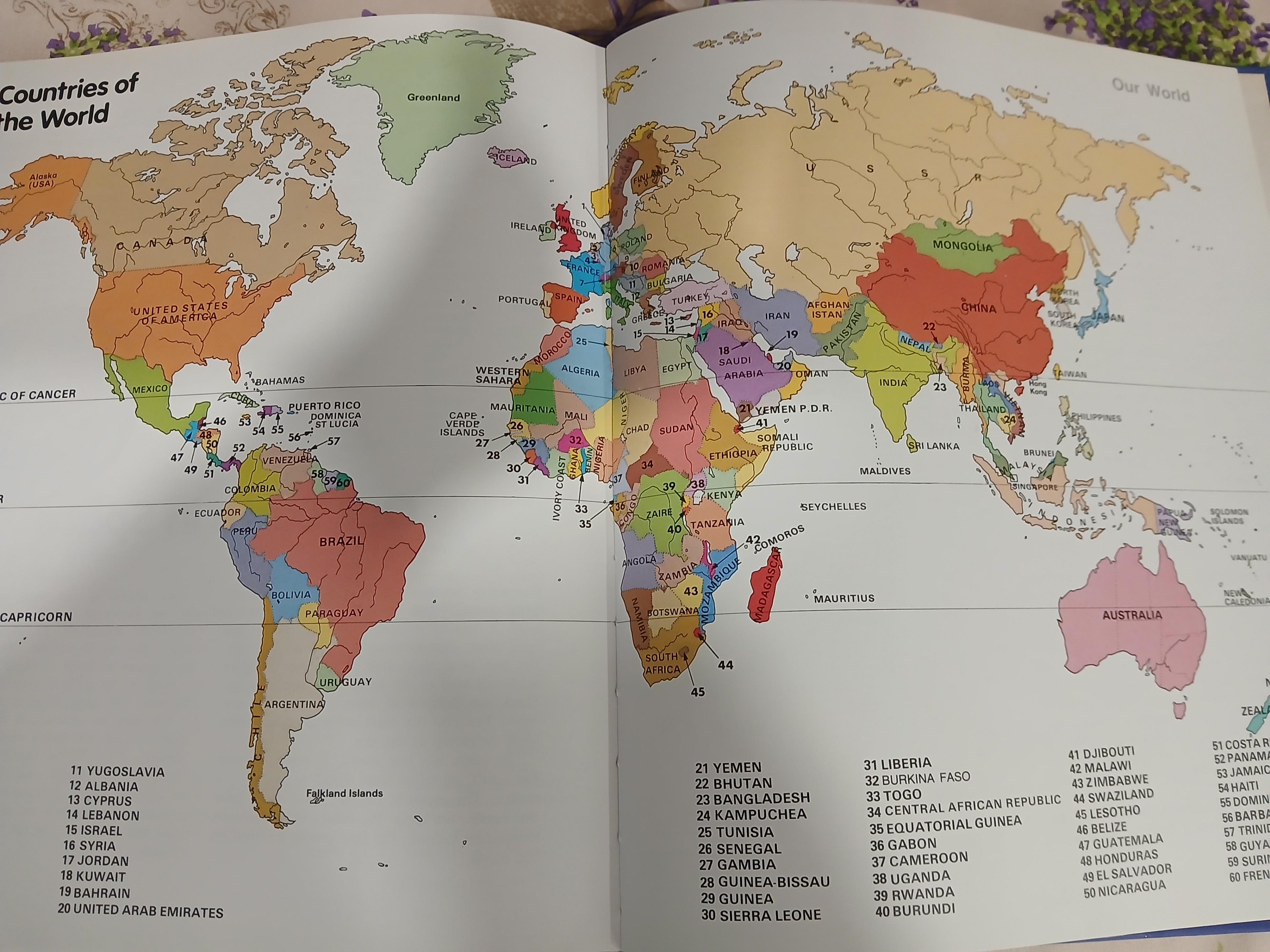 The Doubleday Children's Picture Dictionary,Like New - photo 5