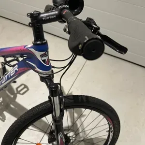 Customized Twitter Venus 26 inch Mountain Bike for women - photo 3
