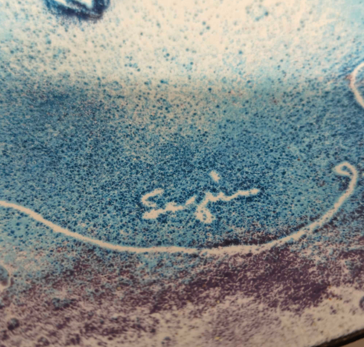 Bernard Séguin Poirier Zodiac Plate enamel-on-copper - photo 3