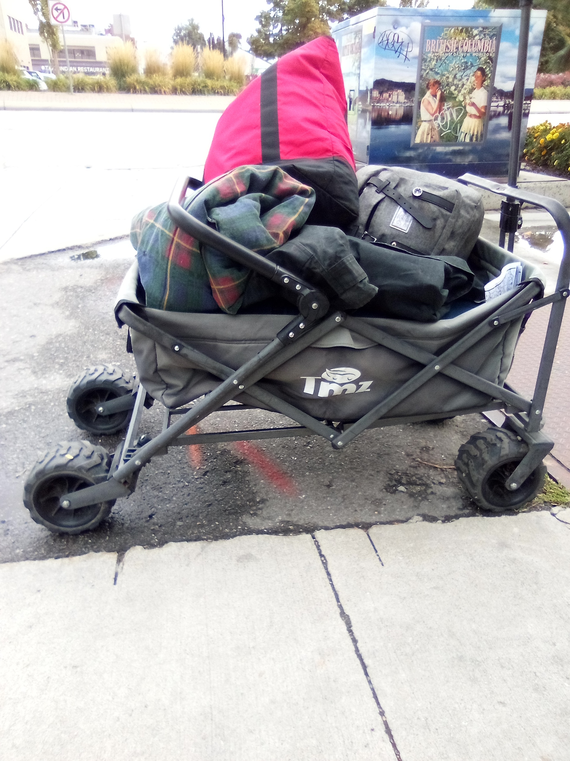TMZ stroller wagon