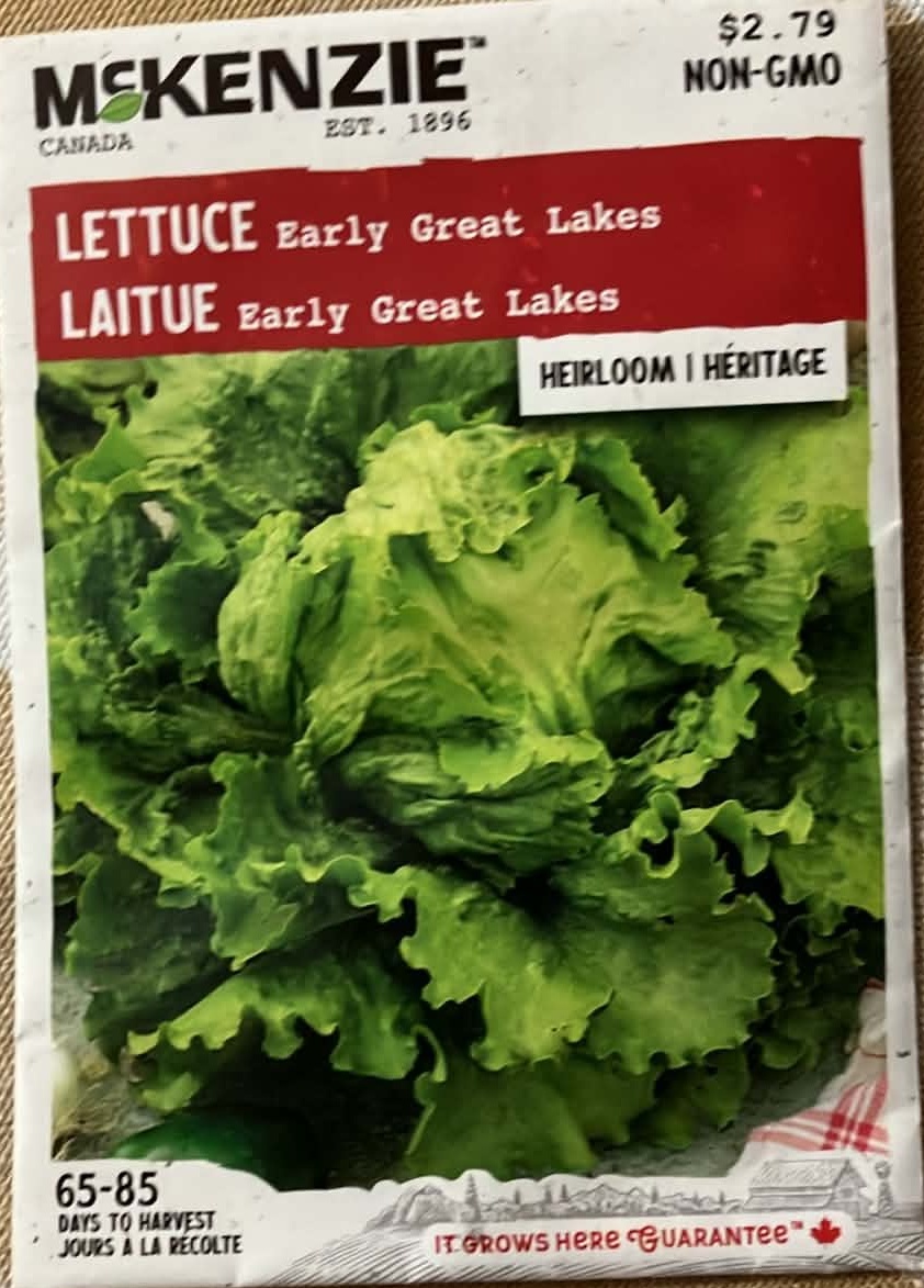 Lettuce Early Great Lakes Seeds