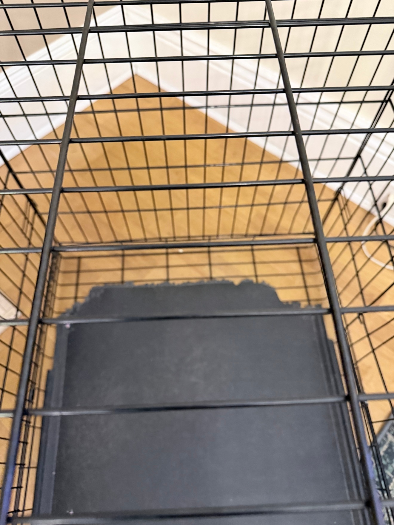 XL Dog Crate 42 Inch Double Door - photo 2