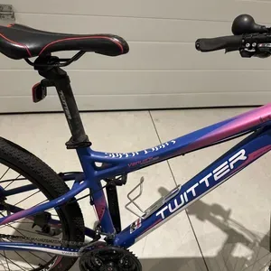 Customized Twitter Venus 26 inch Mountain Bike for women - photo 5