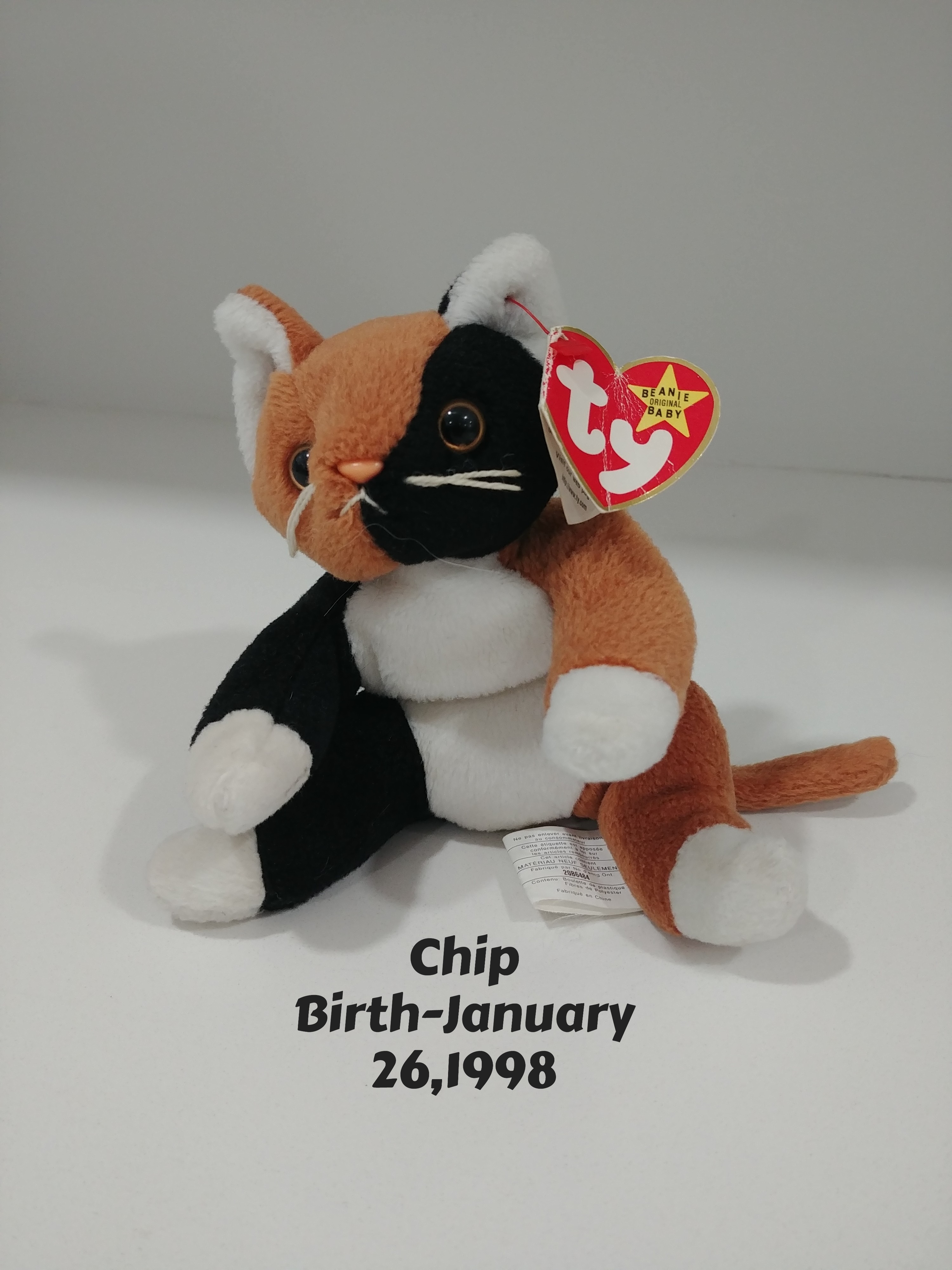 Ty Chip Beany Baby With Birth Tag. Like New