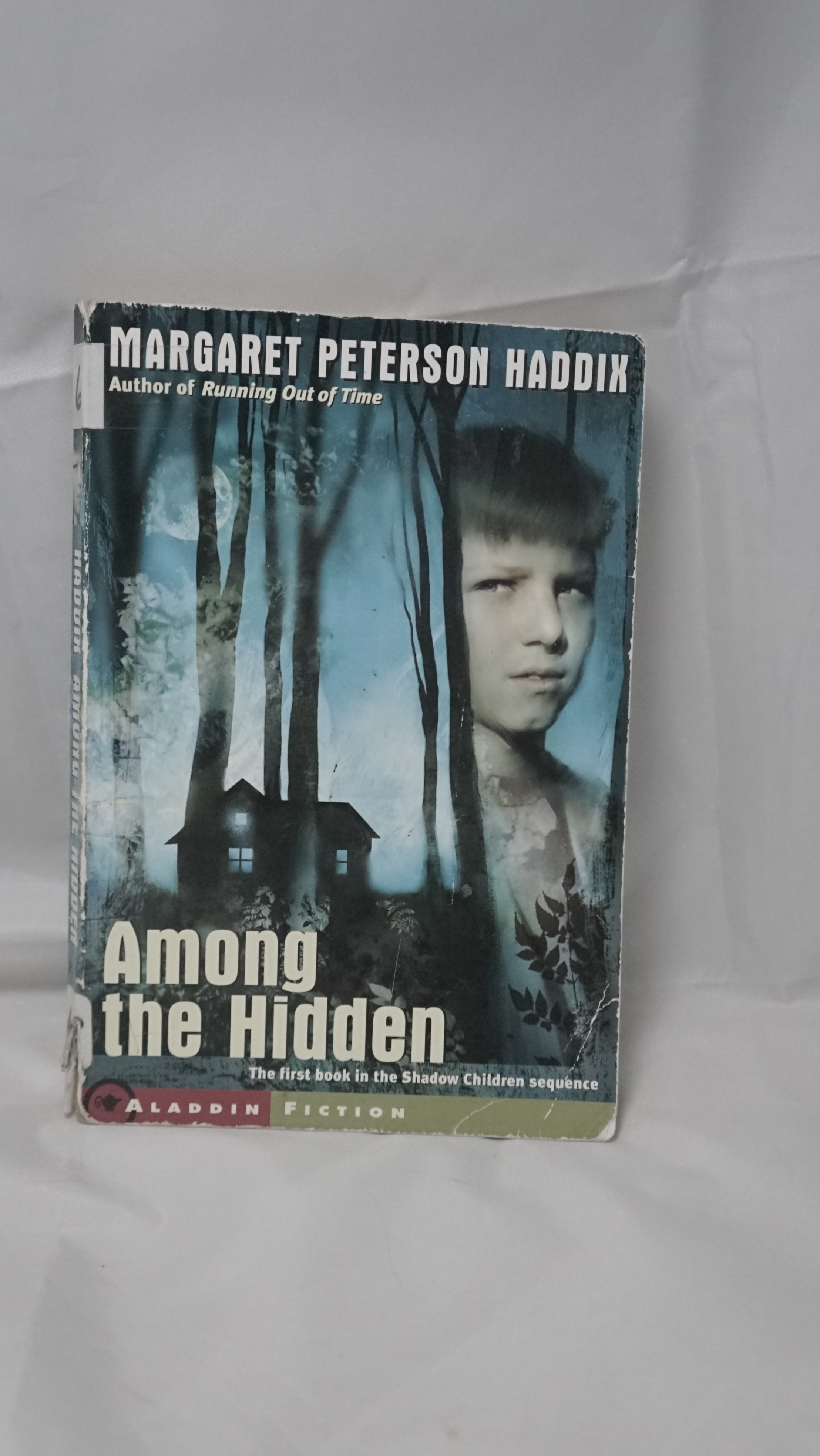 Among the Hidden Margaret Peterson Haddix Aladdin Paperback Shad