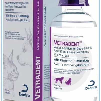 Sealed Vetra-dent Water Additive Dog Dental Care, 500 ml