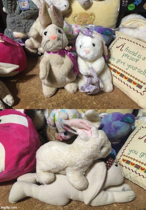 30 PLUSH STUFFED ANIMALS LOT BUNNY RABBITS TEDDY BEARS 16 POUNDS - photo 5