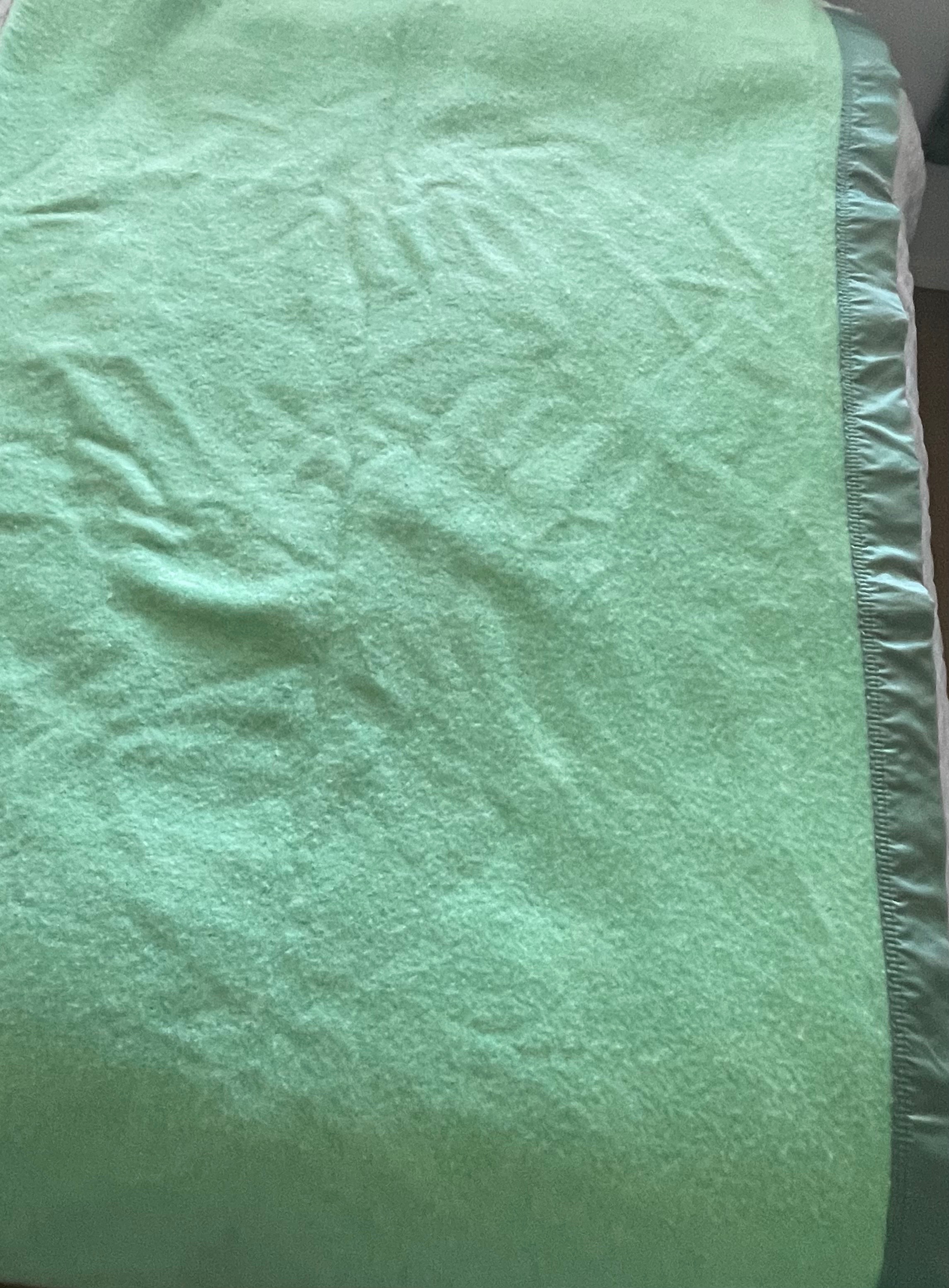 Vintage Ayers Pure Virgin Wool Blanket - Pistachio Mint Green - photo 4