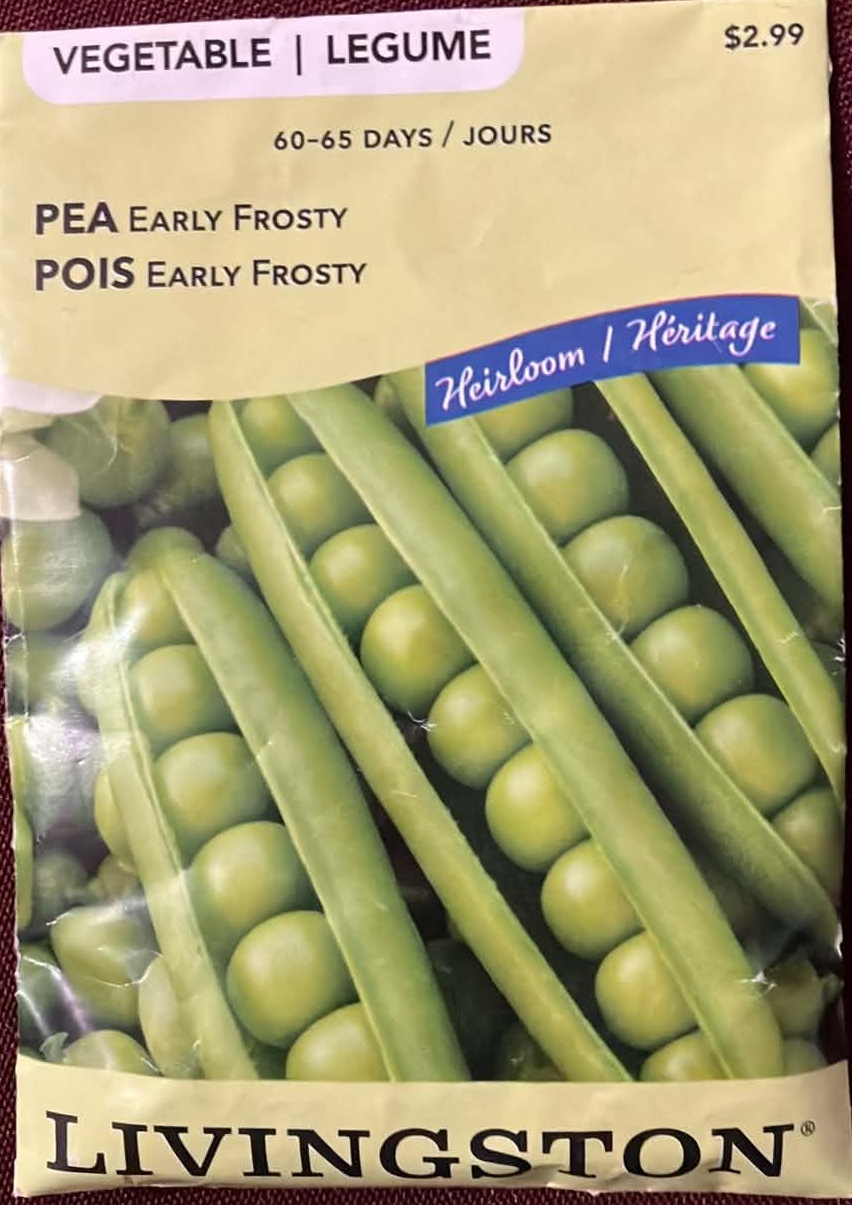 Pea Early Frosty Seeds