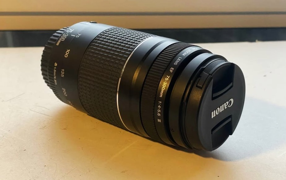 Canon EF 75-300mm f/4-5.6 III Lens