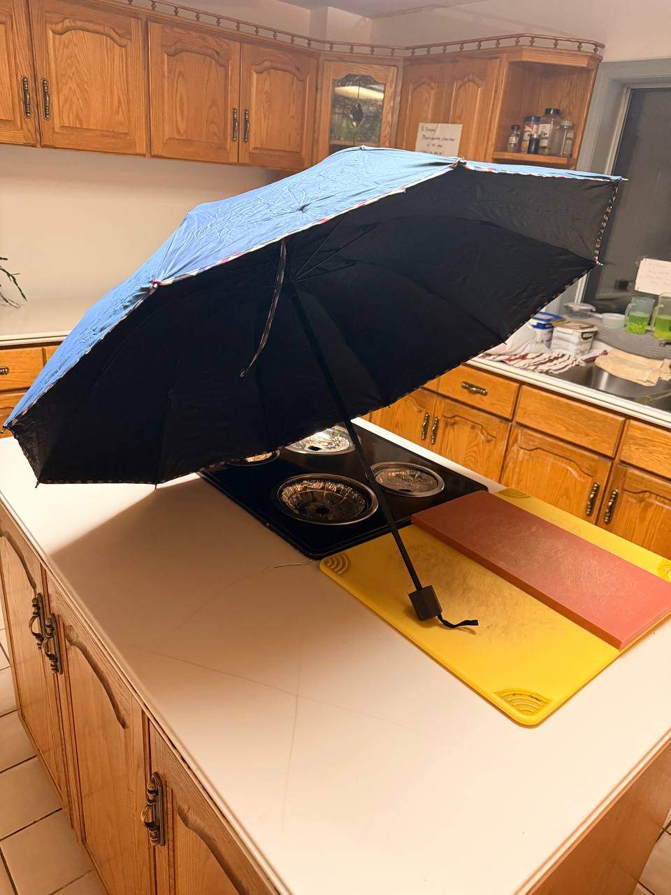 Blue Folding Umbrella - photo 2