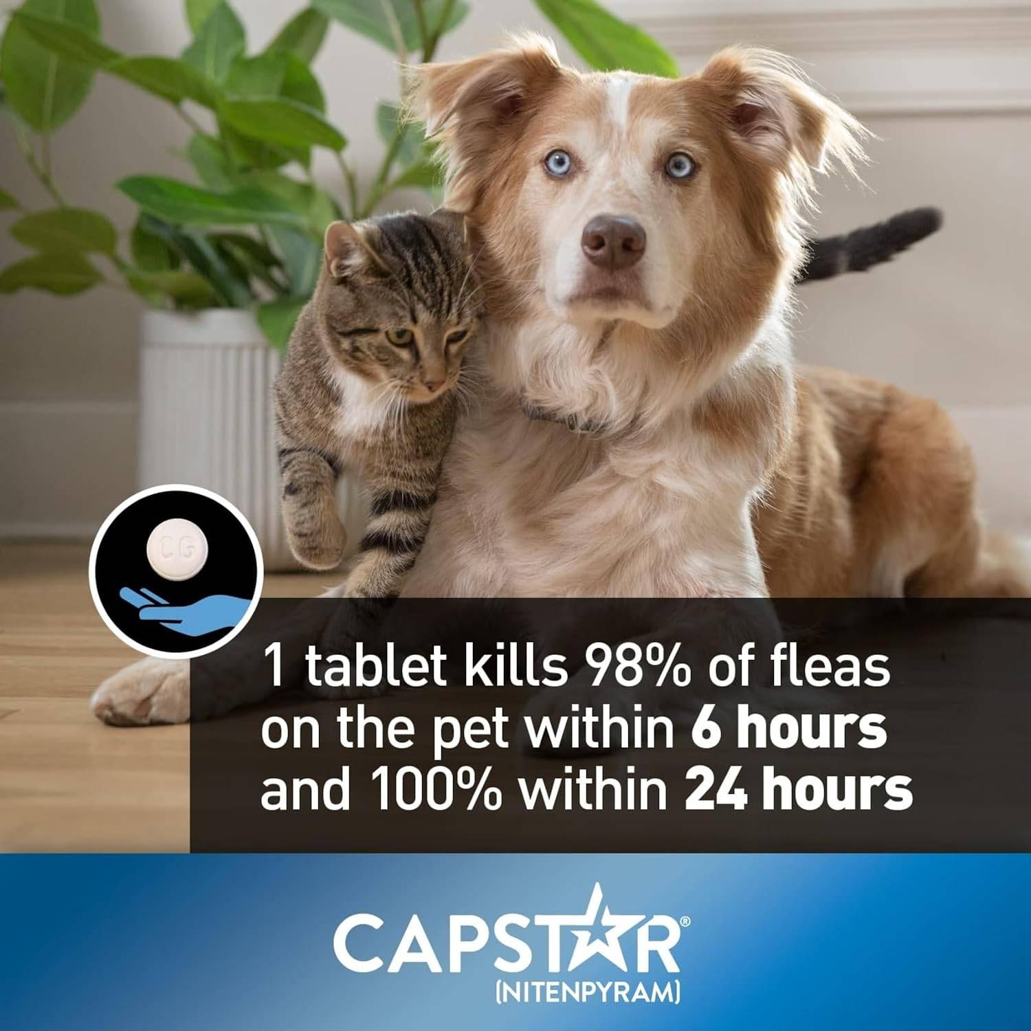Capstar Flea Treatment Small Dogs & Cats 1–11kg – 6 Pack - photo 3