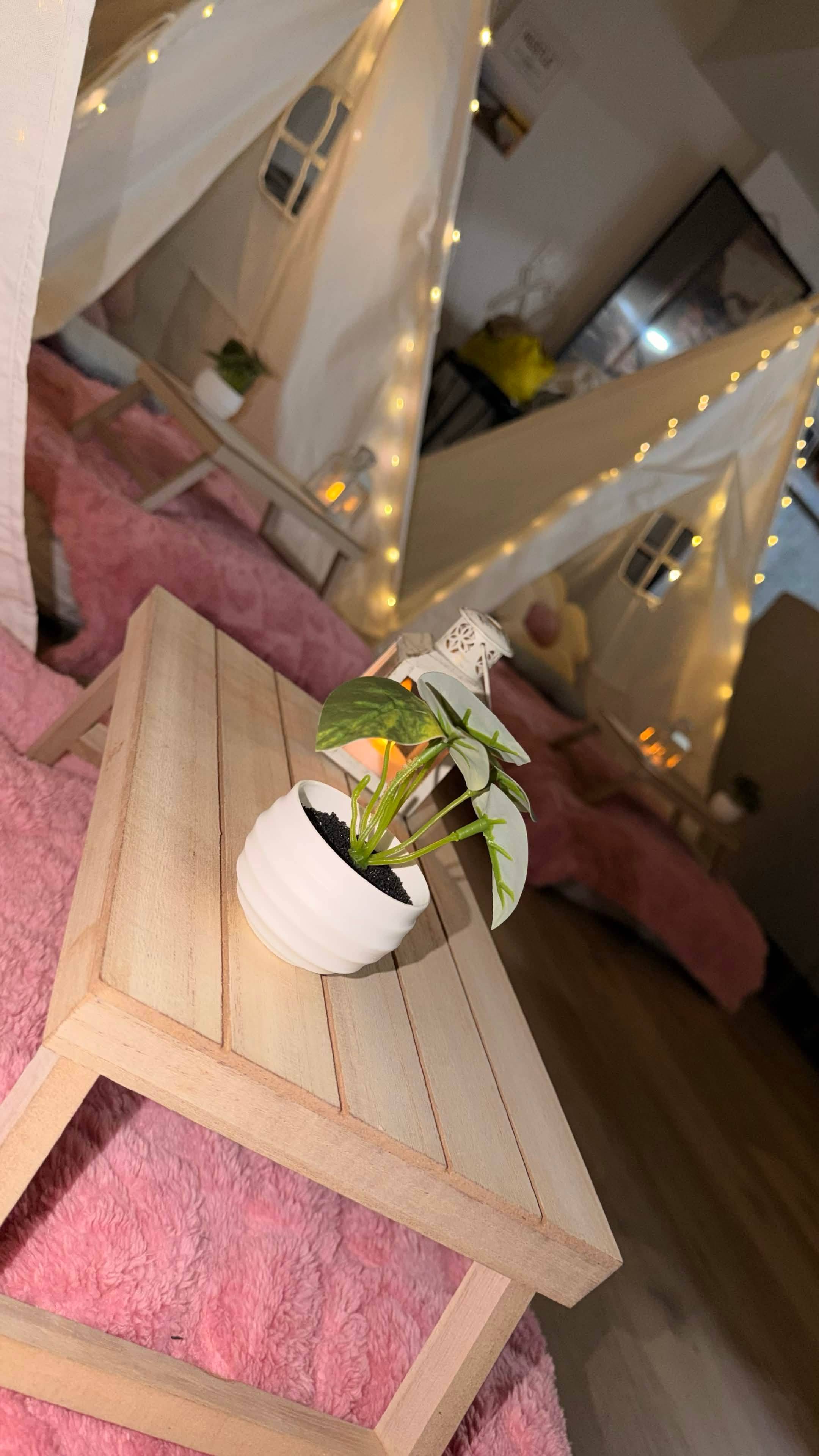 Tee Pee Sleepover Party Box Rental - photo 4