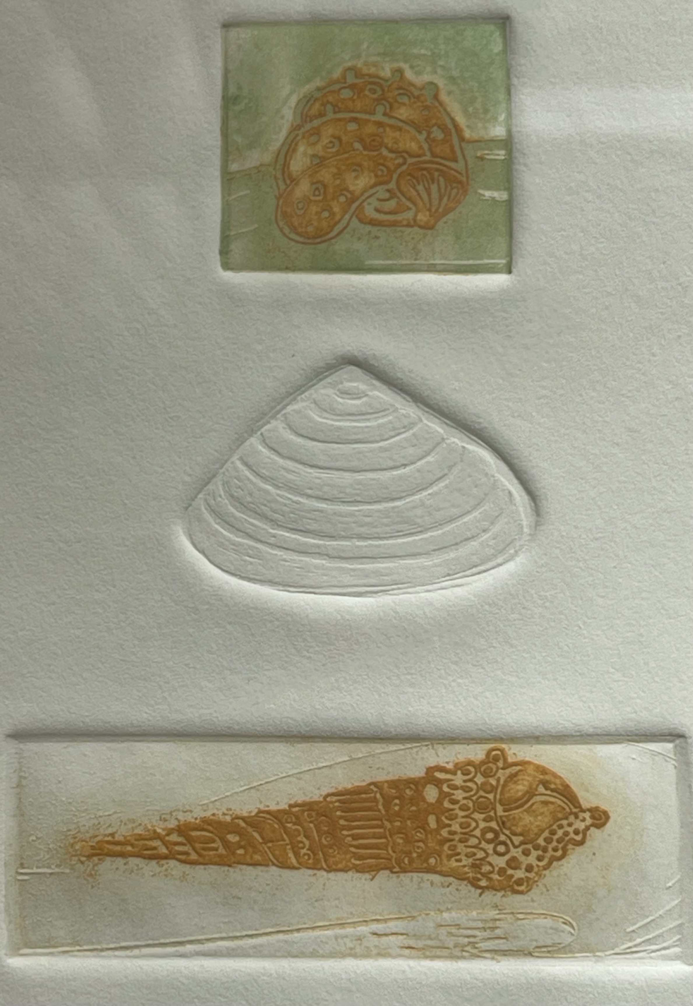 Signed 1977 Nancy Nemec Embossed Shell Art (8x10 Framed) - photo 3