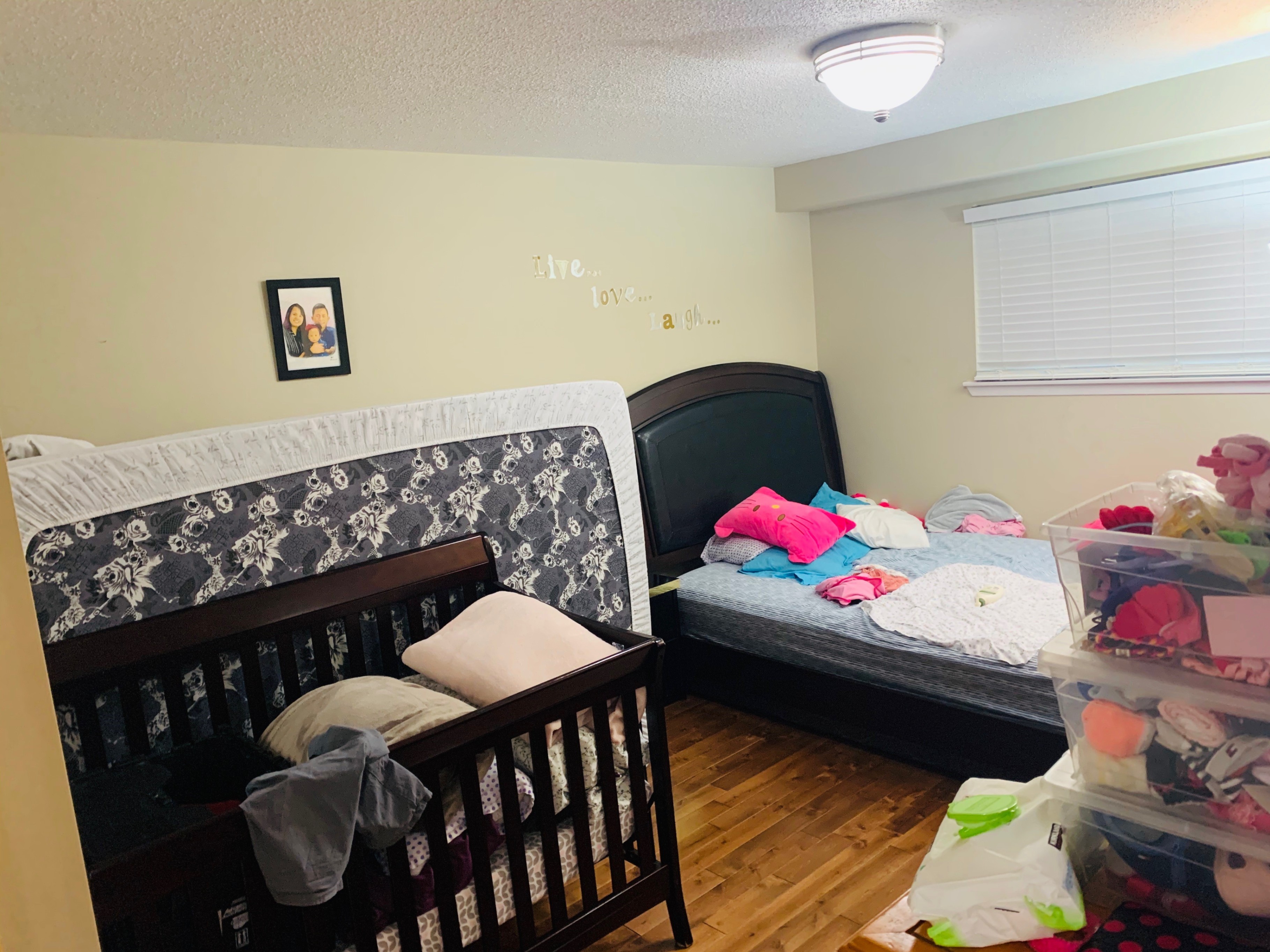 Bright 1-Bedroom Walkout Basement with Private Deck & Backyard - photo 3