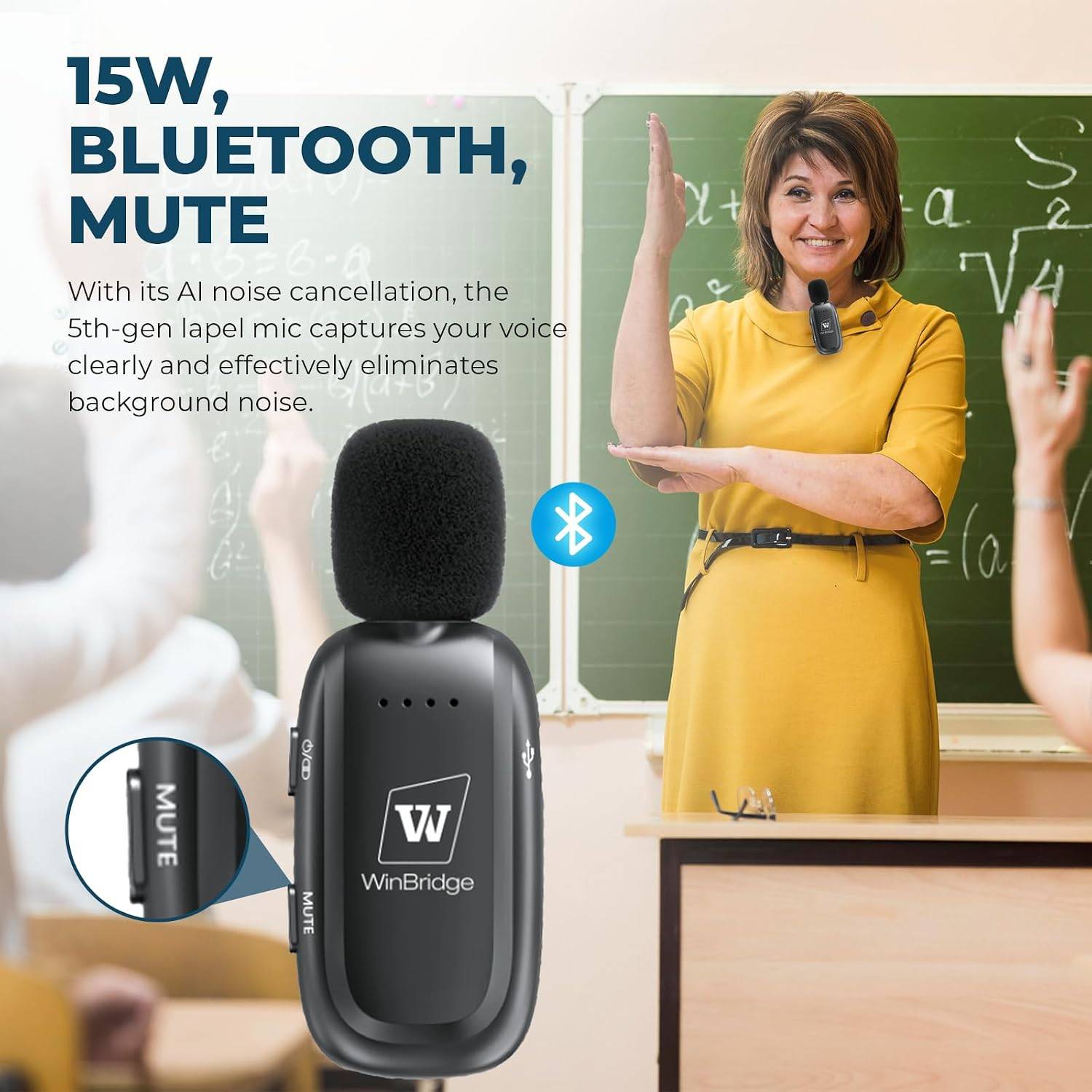 WinBridge Wireless Voice Amplifier Set - photo 2