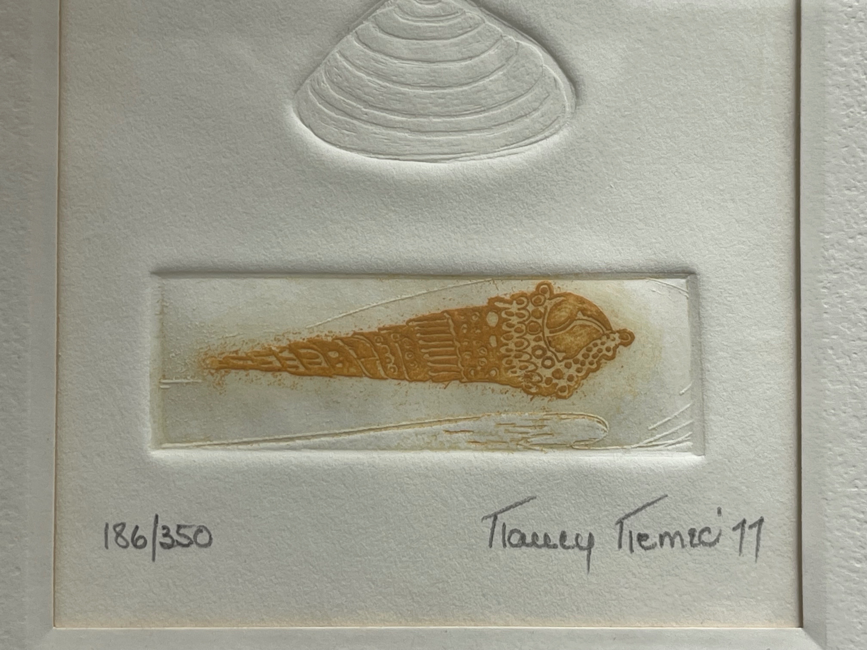 Signed 1977 Nancy Nemec Embossed Shell Art (8x10 Framed) - photo 2