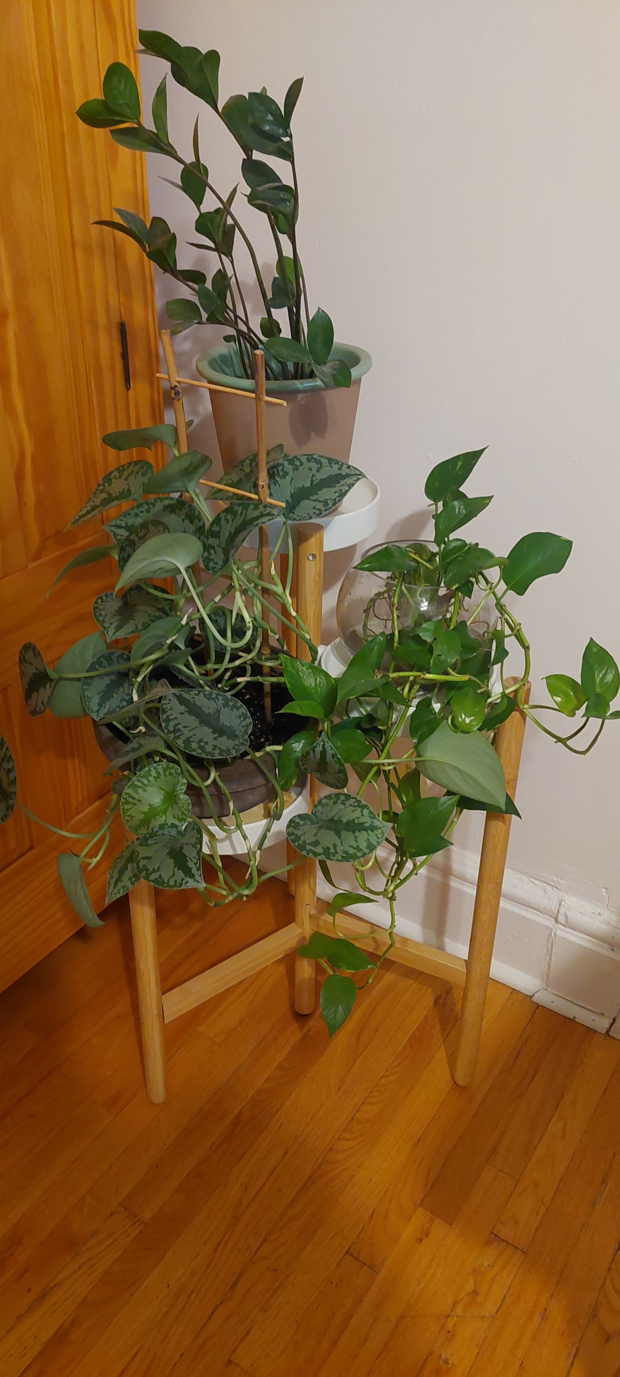 IKEA SATSUMAS 3-Tier Bamboo Plant Stand - photo 5