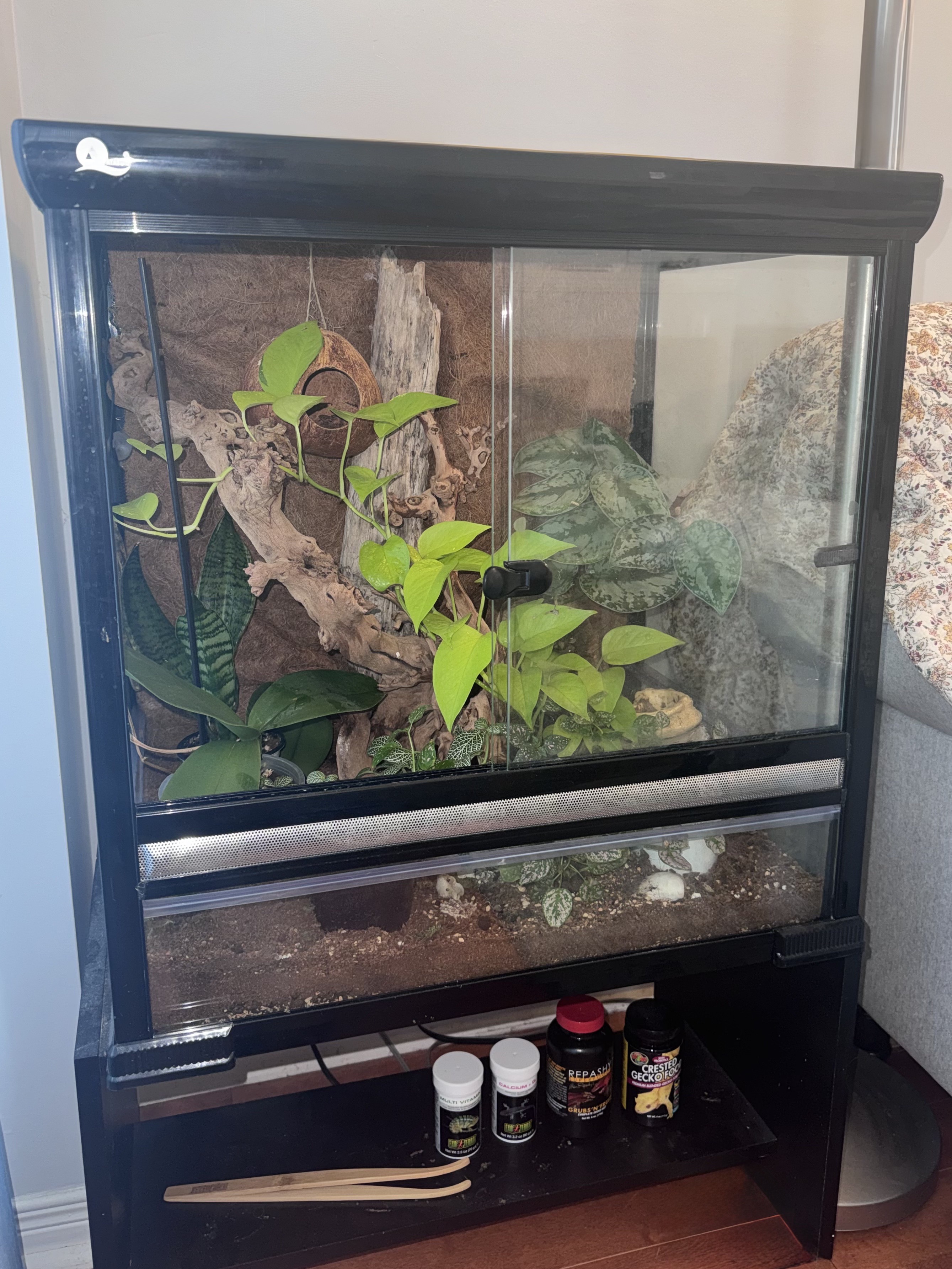 Large reptile terrarium with custom backround and wood branches - photo 3