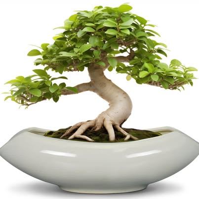 18in Large Ceramic Plant Pot with Drainage Hole - Gray