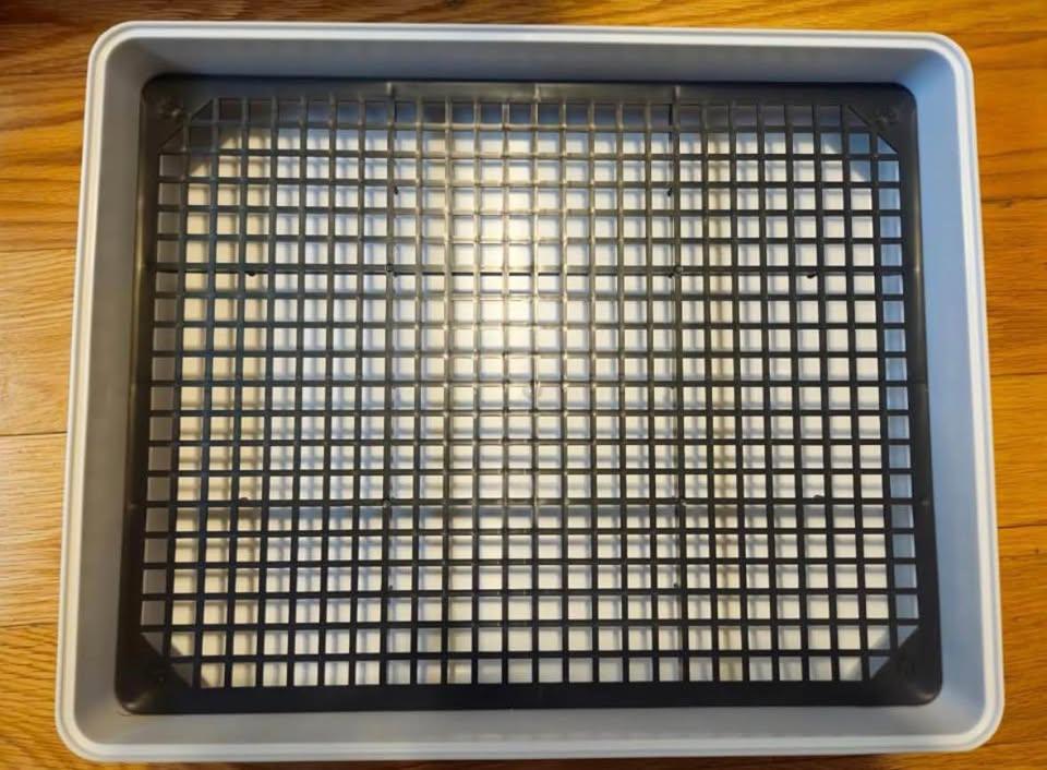 Large 22x18 Litter Tray with Sifting Grid & High Edges (New)