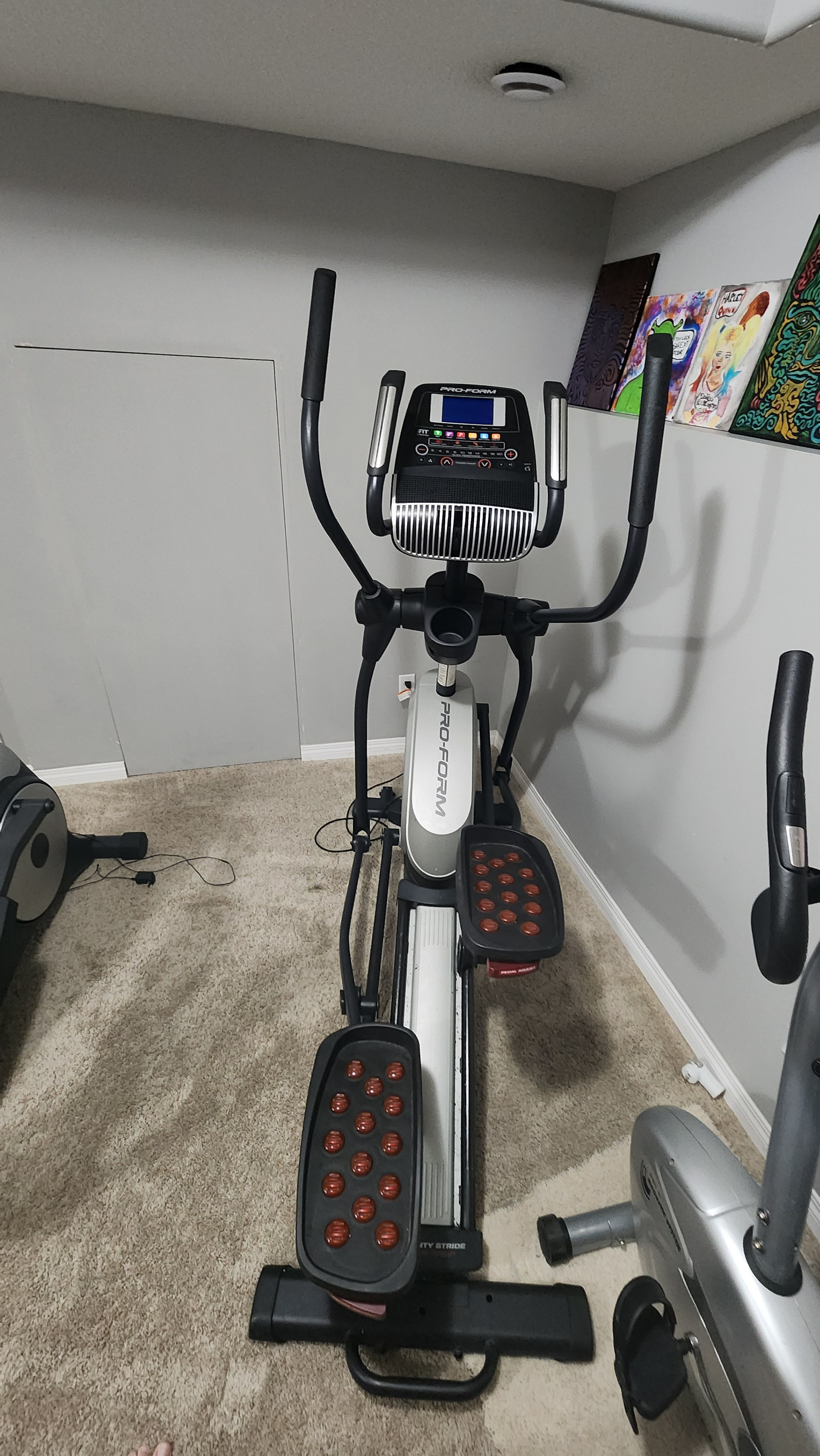 Large Elliptical - photo 5