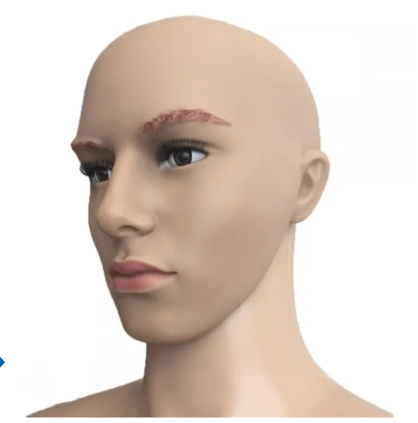 Mannequin 185cm $135 🧍 Brand New – Male Full Body Display