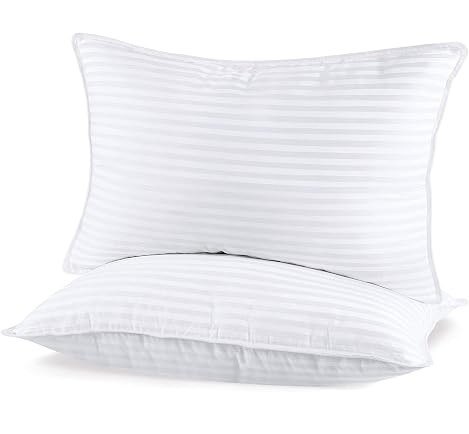 NEW Sherwood Super Plush Pillows (2-Pack)