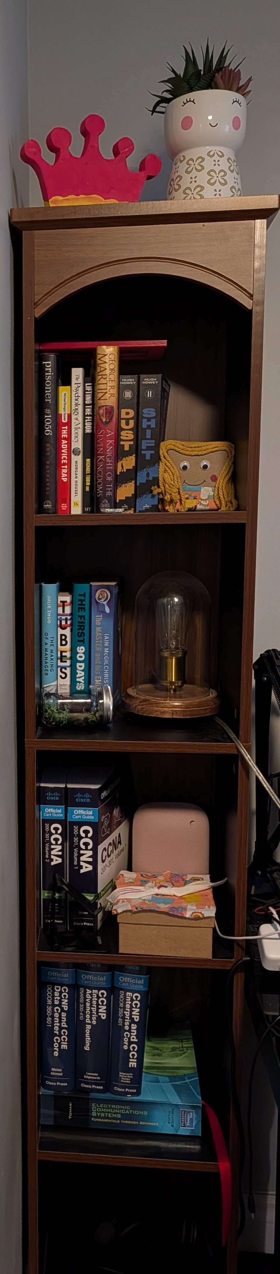 Tall Wooden Narrow Bookcase