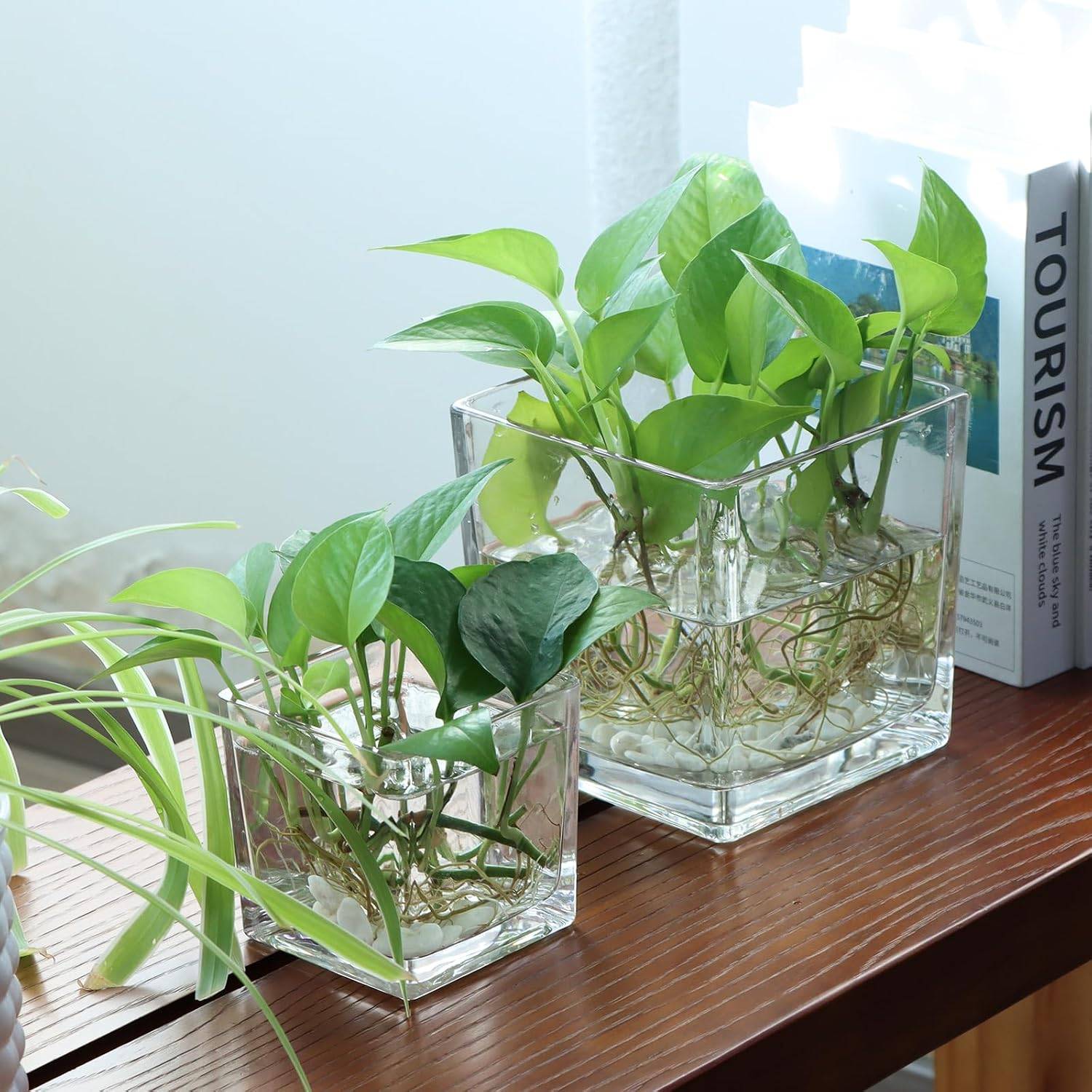 Square Glass Flower Vases - $5 Each - photo 2