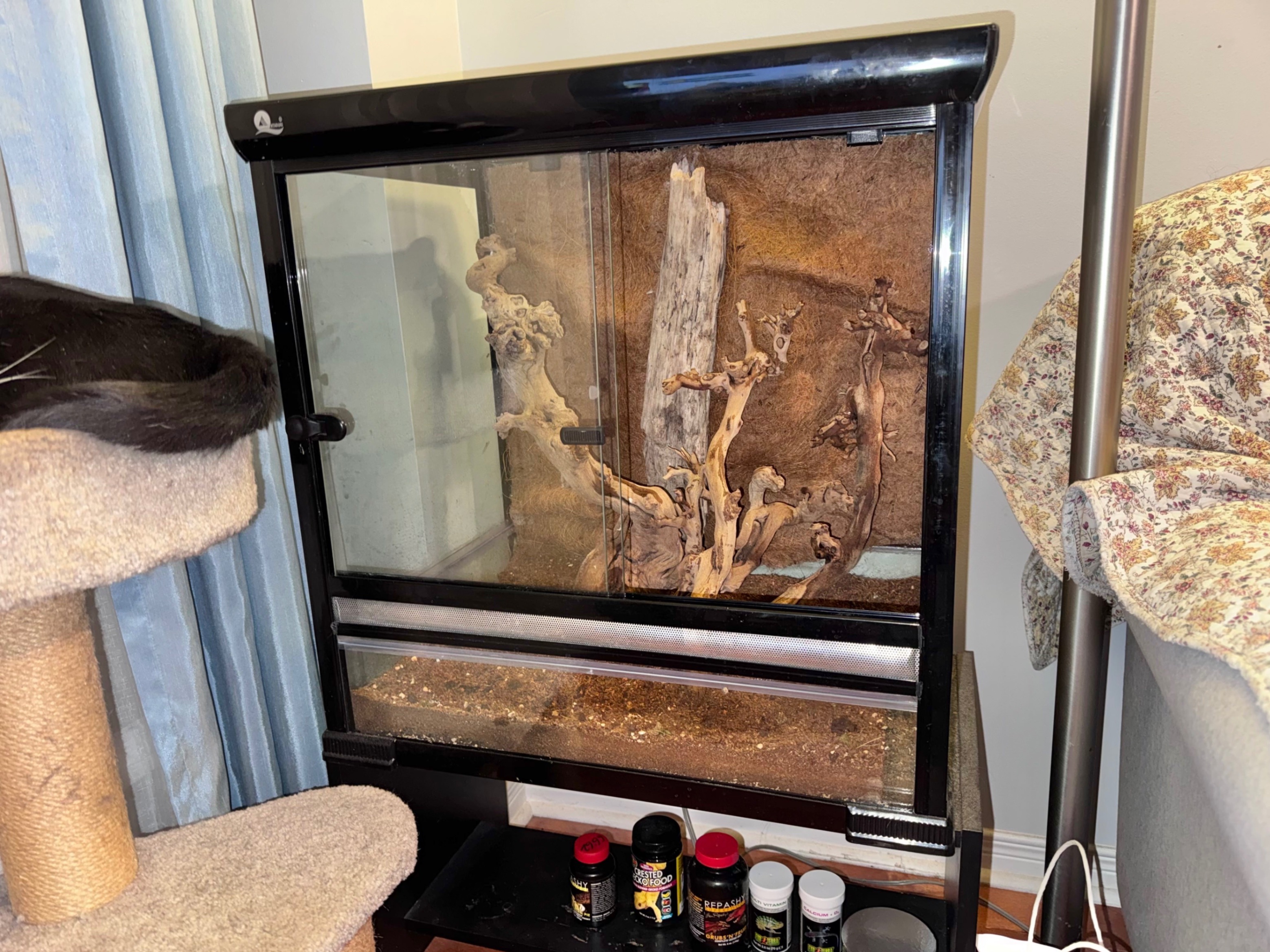 Large reptile terrarium with custom backround and wood branches