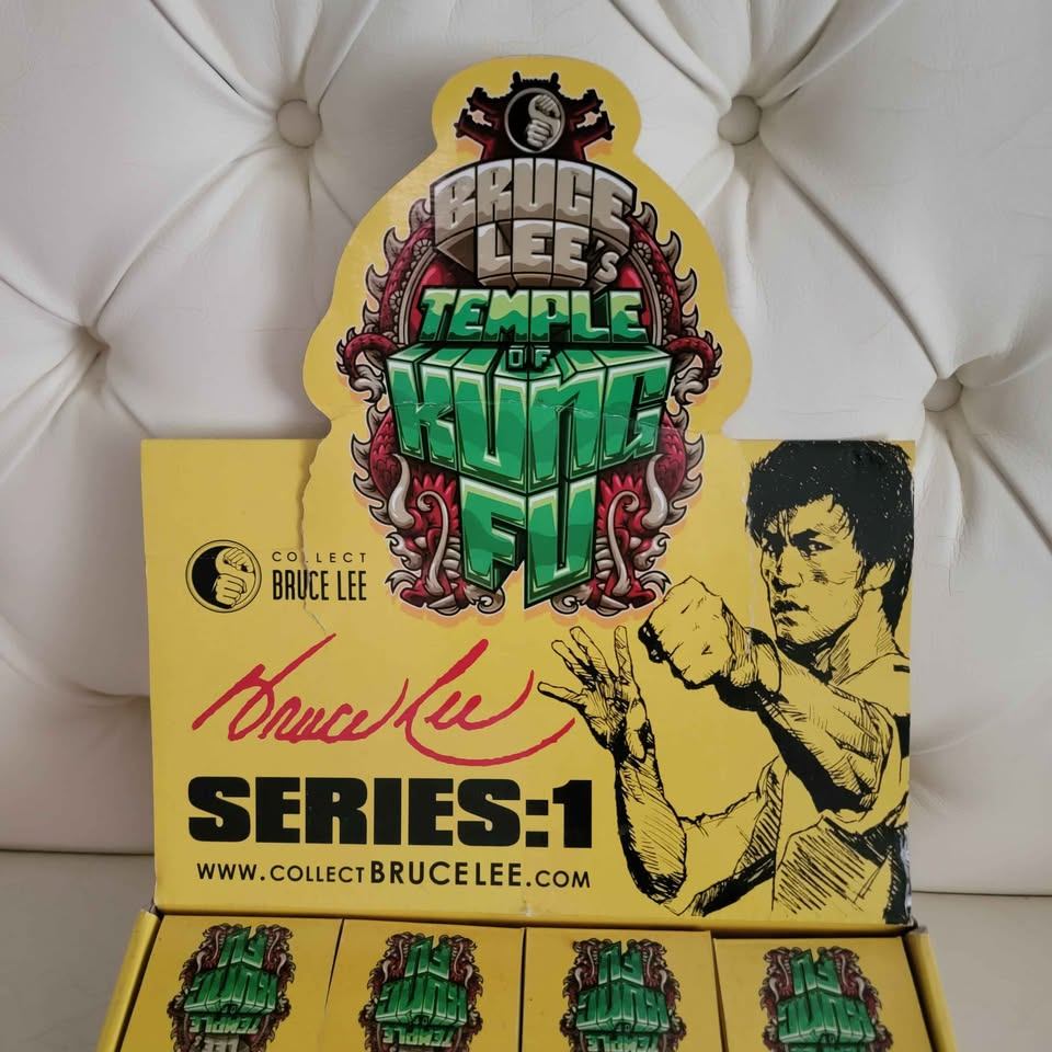 23 Bruce Lee's Temple of Kung Fu Series 1 mystery vinyl - photo 5