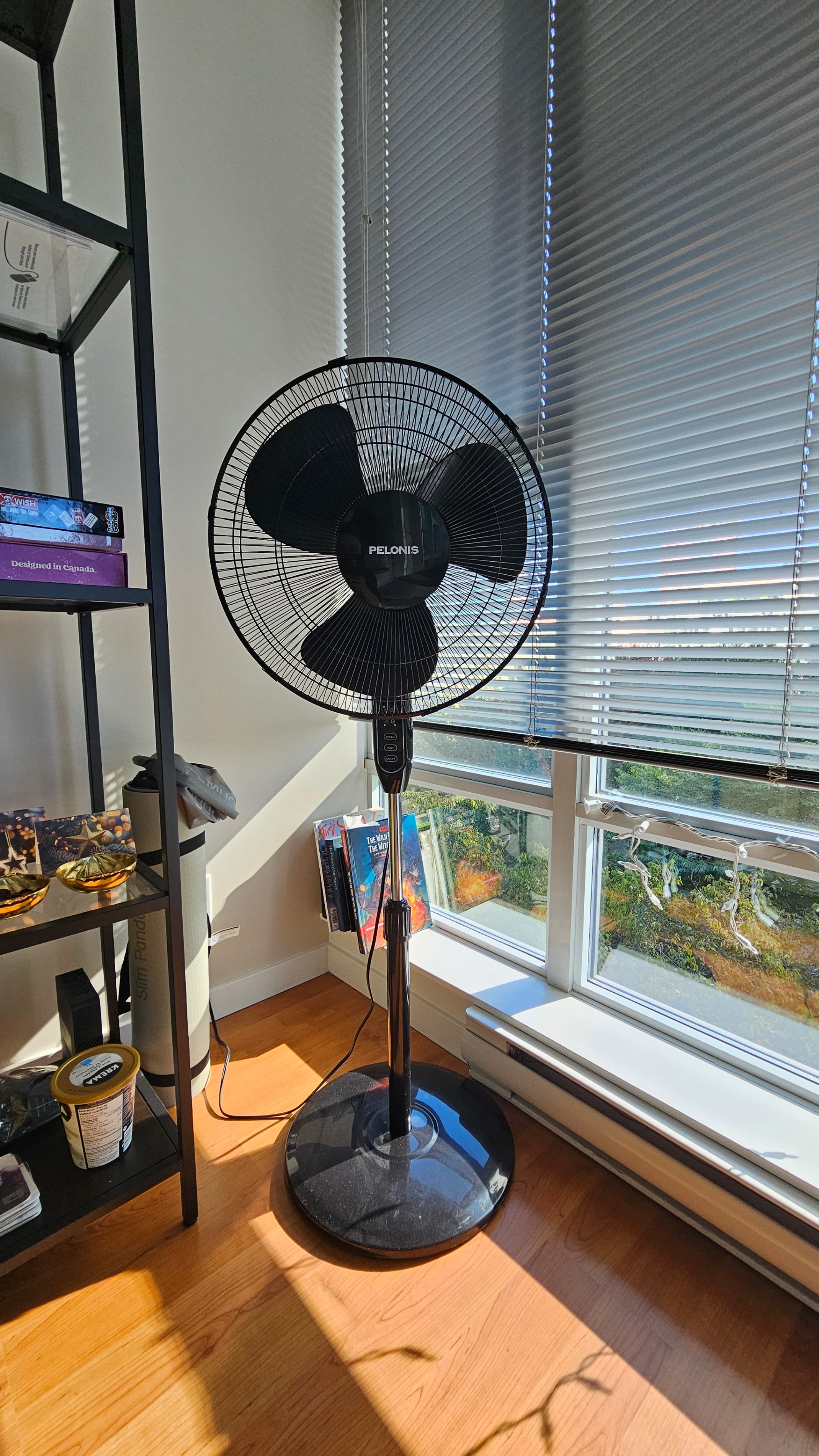 Fans – Pelonis Standing Fan + Honeywell TurboForce Tabletop Fan