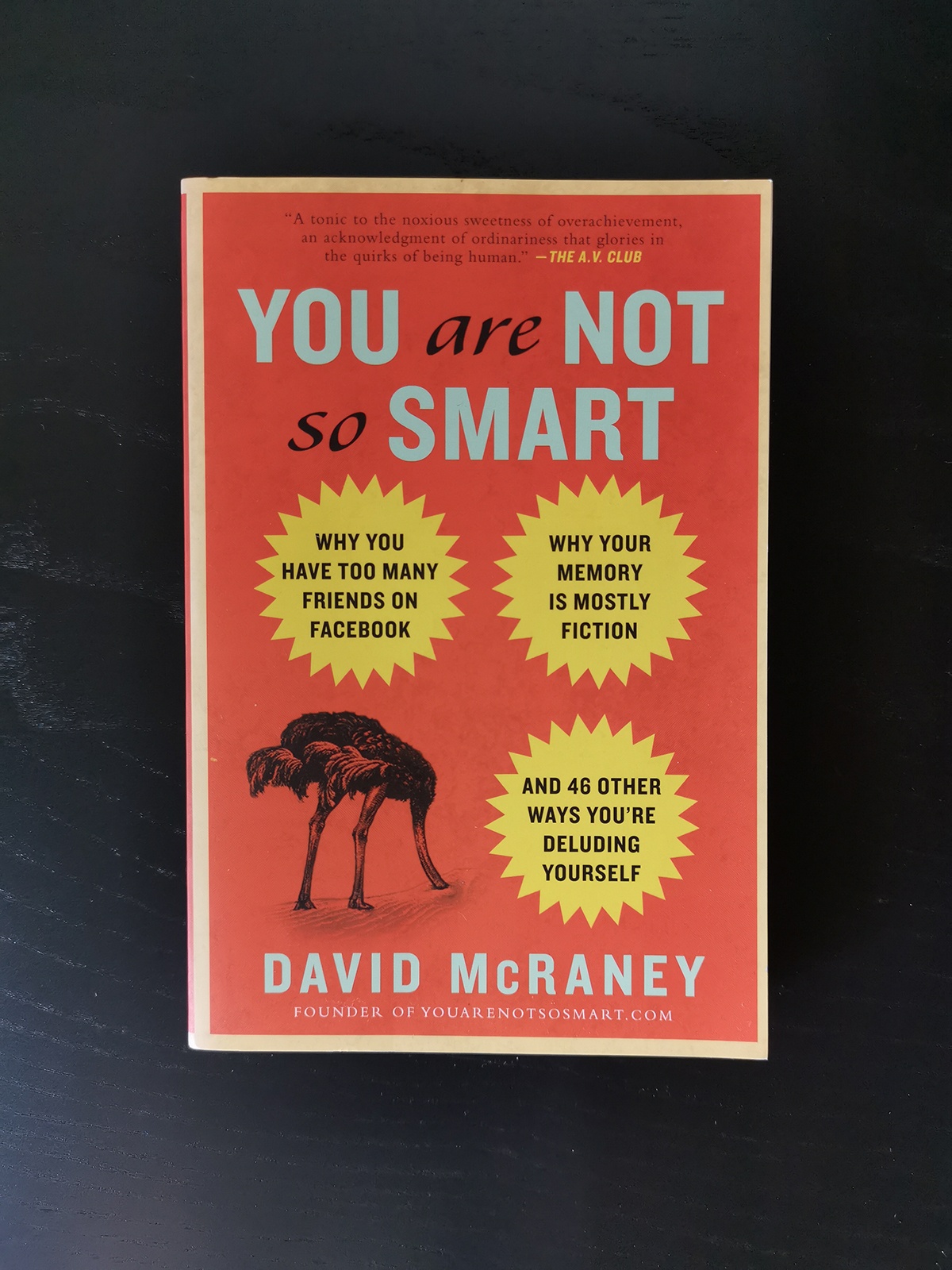 You Are Not So Smart by David McRaney