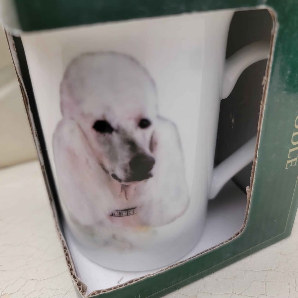 "Best of Breed" Fine China Mug – white  Poodle (New in Box)