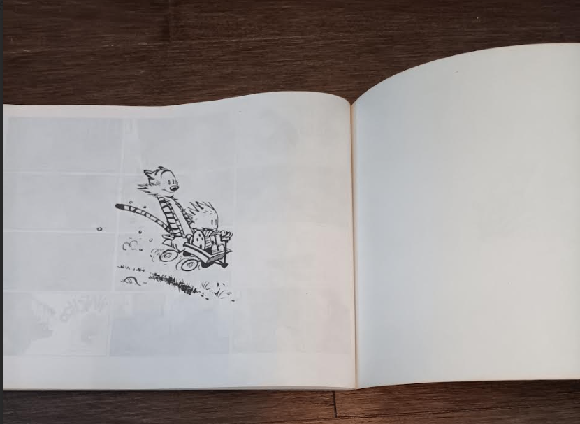 The Days Are Just Packed: A Calvin and Hobbes Collection PB Book - photo 3