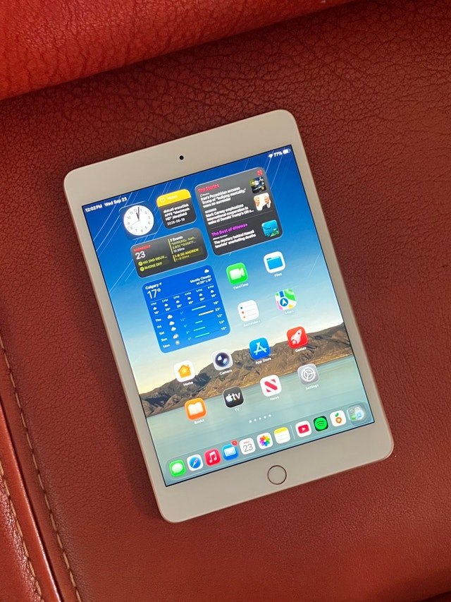 Apple iPad mini 5