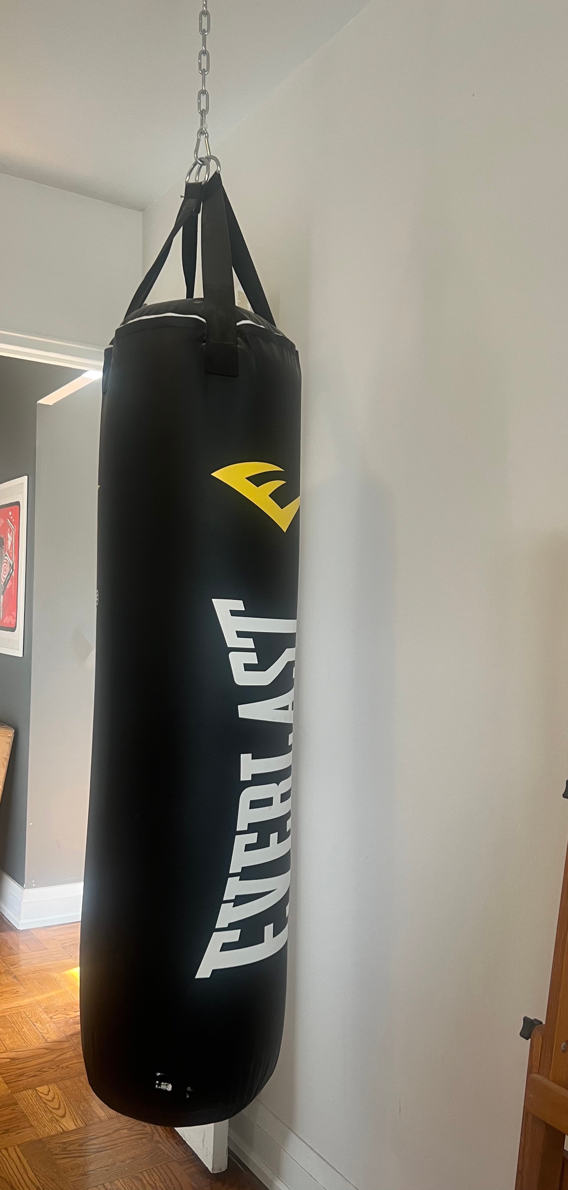 Rarely used Everlast Heavy Punching Bag - photo 4