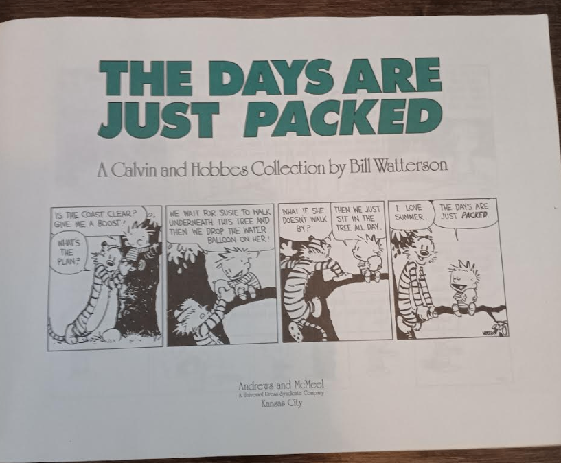 The Days Are Just Packed: A Calvin and Hobbes Collection PB Book - photo 5