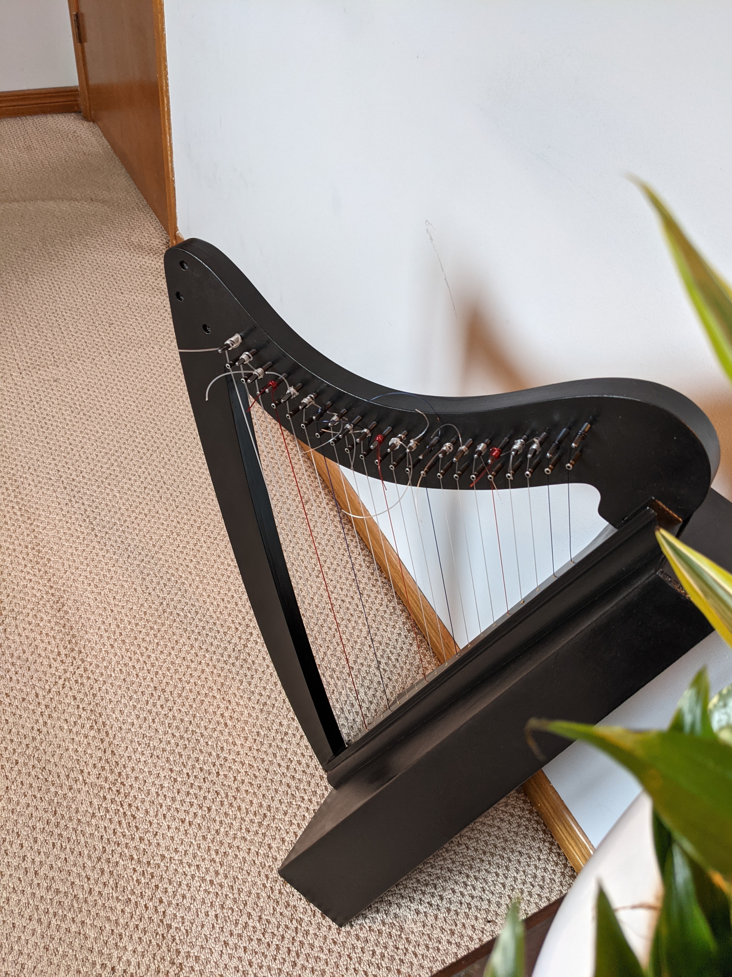 22 String Harp - photo 4