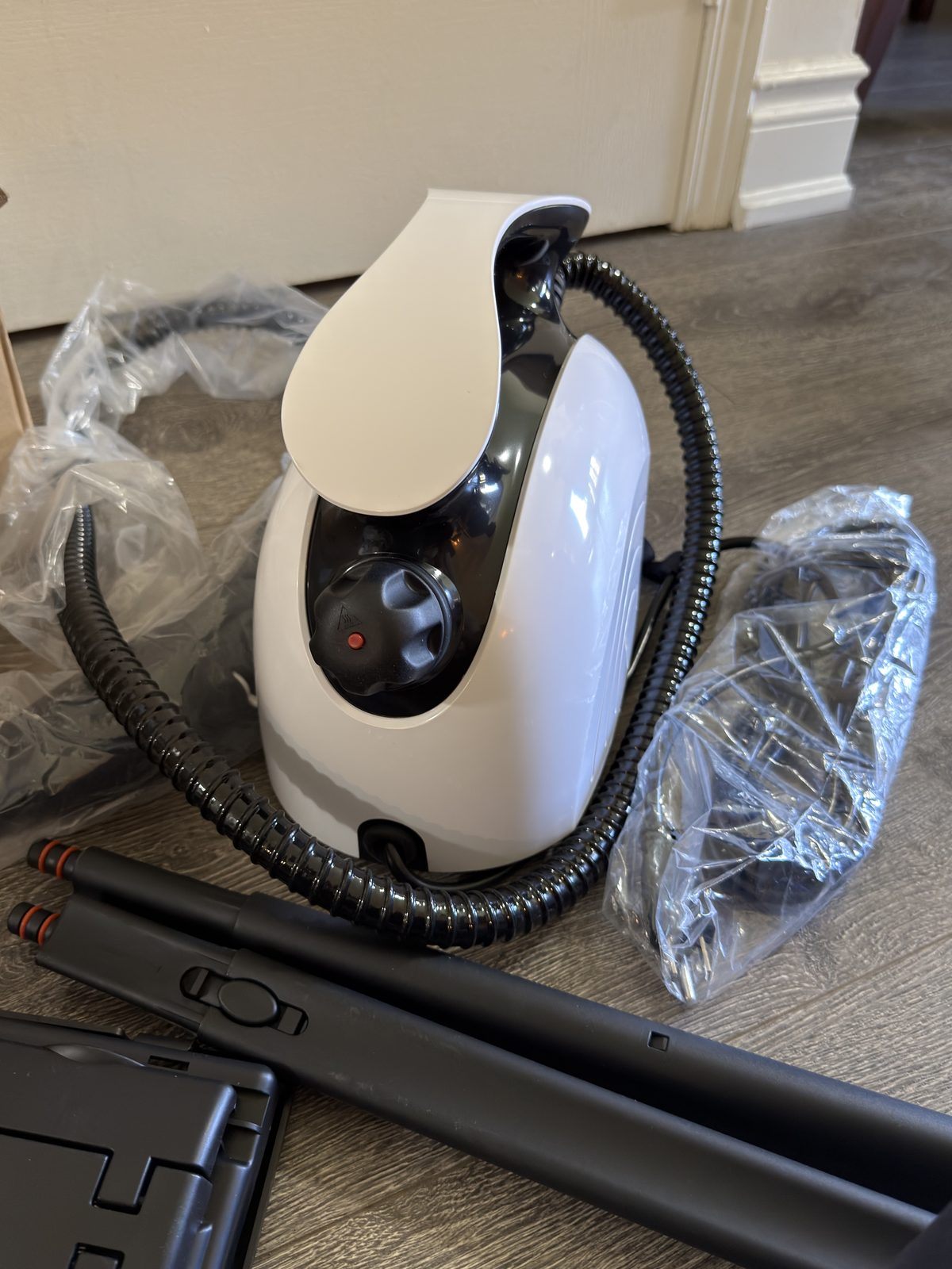 Waitbird steam cleaner