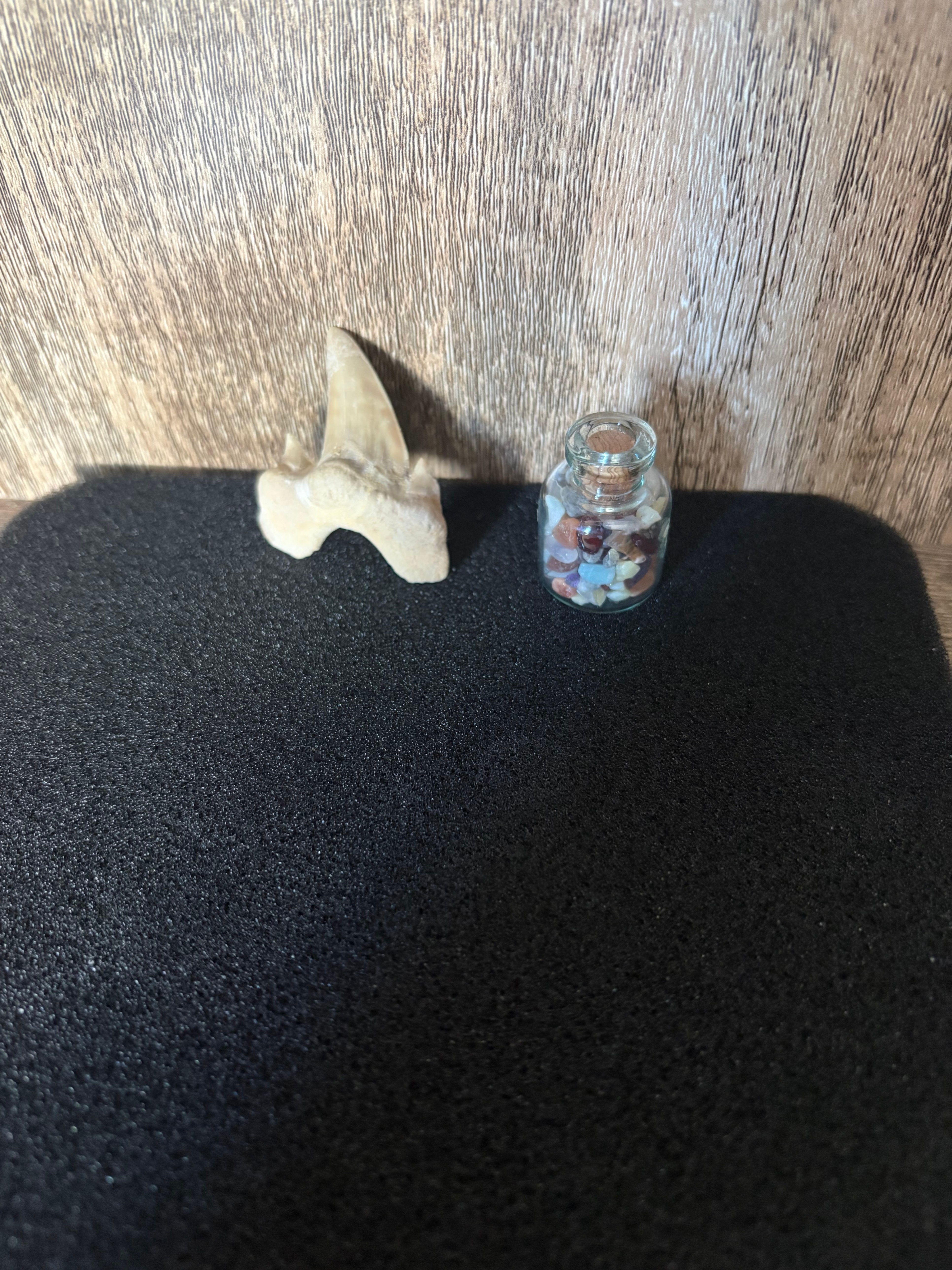 Fossil Shark Tooth and Small Gemstone Bottle