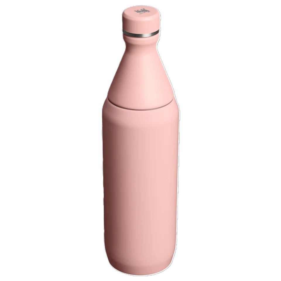 Stanley School Slim Bottle - 20 Oz - photo 2