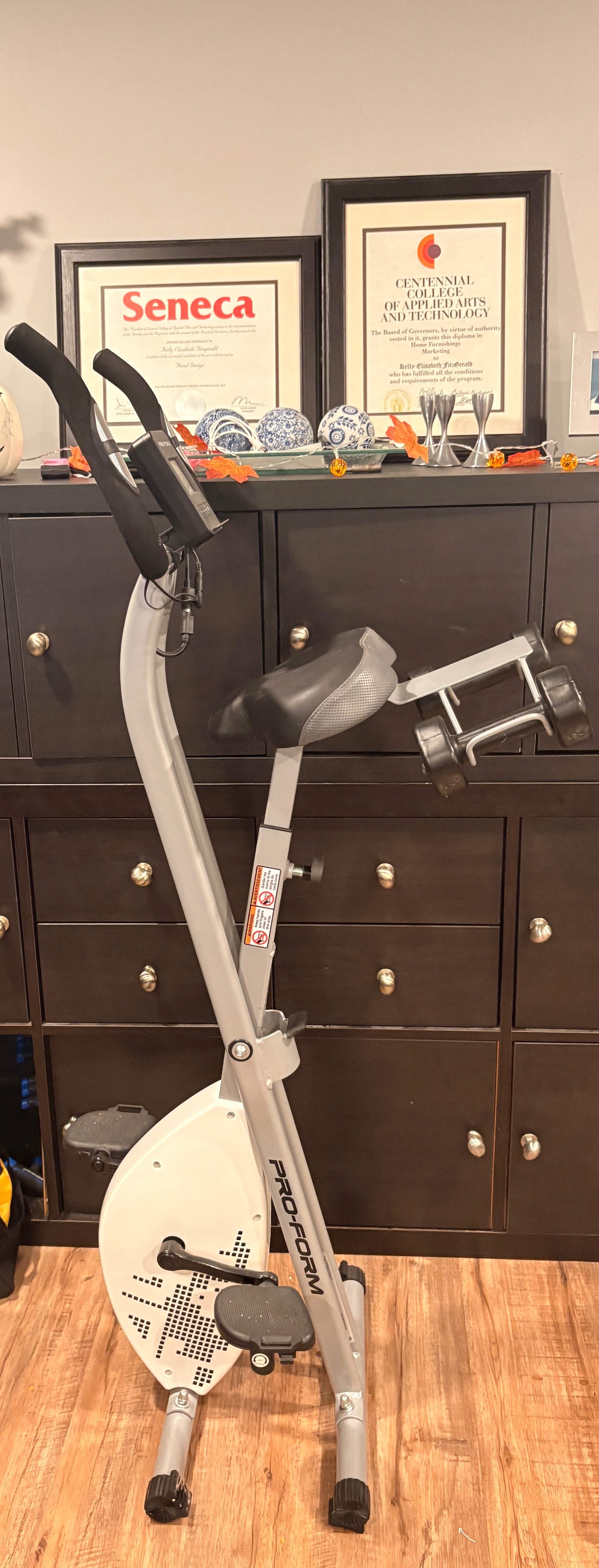 Proform X Bike UltraQuiet Folding Exercise Bike - photo 2