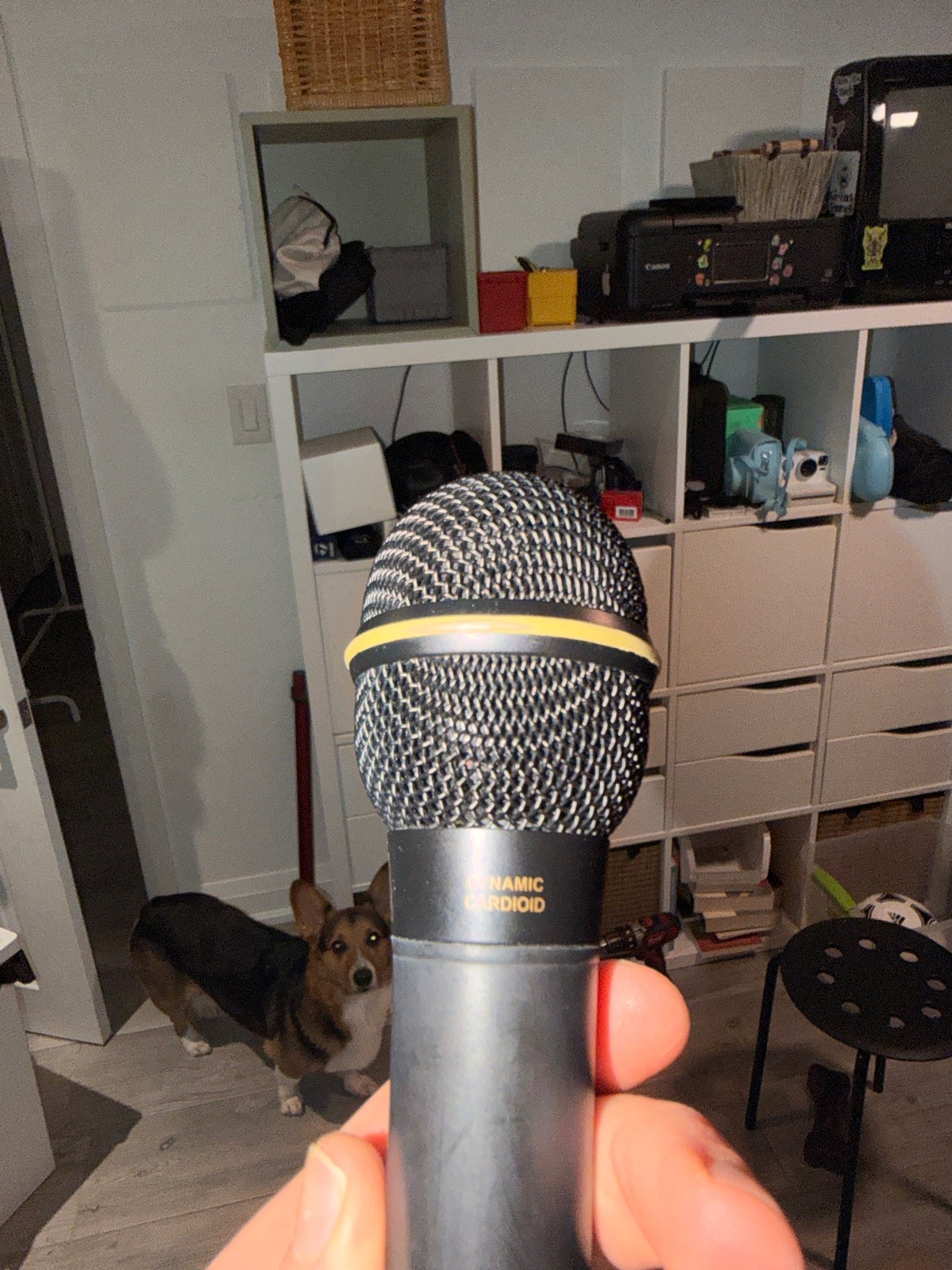 Electro-Voice N/D367s Dynamic Cardioid Vocal Microphone - photo 4