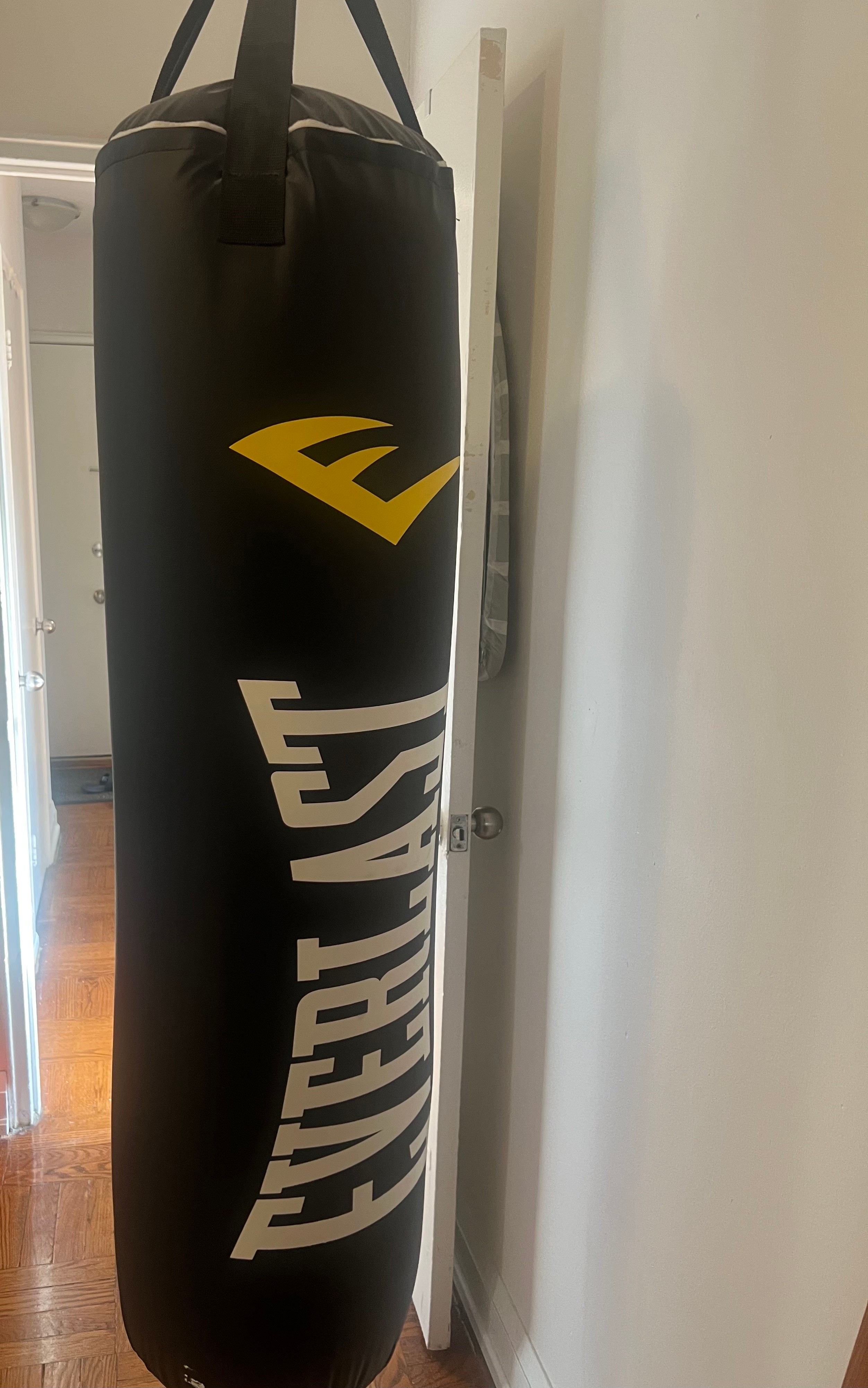 Rarely used Everlast Heavy Punching Bag