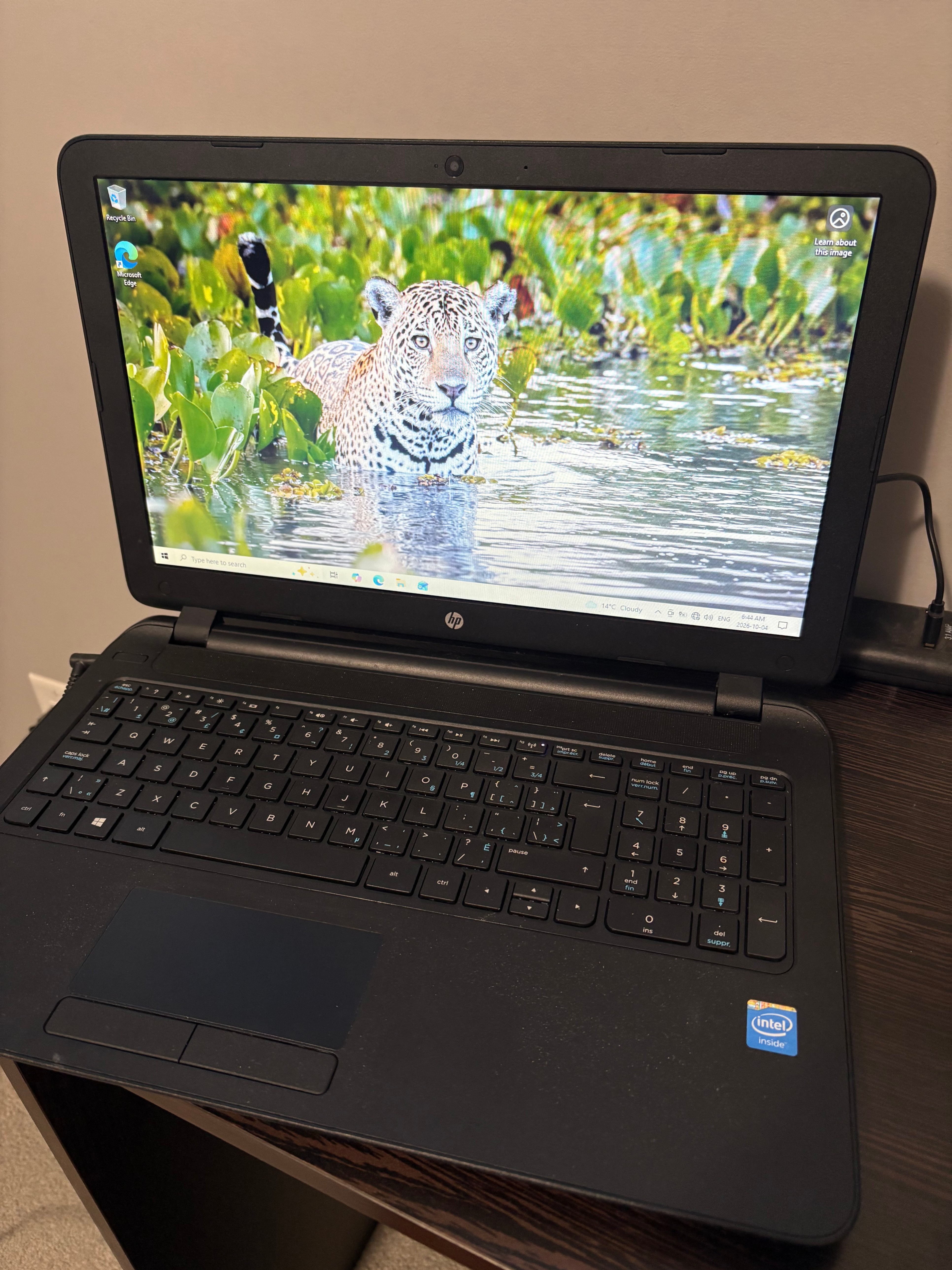 HP Notebook Laptop - photo 3